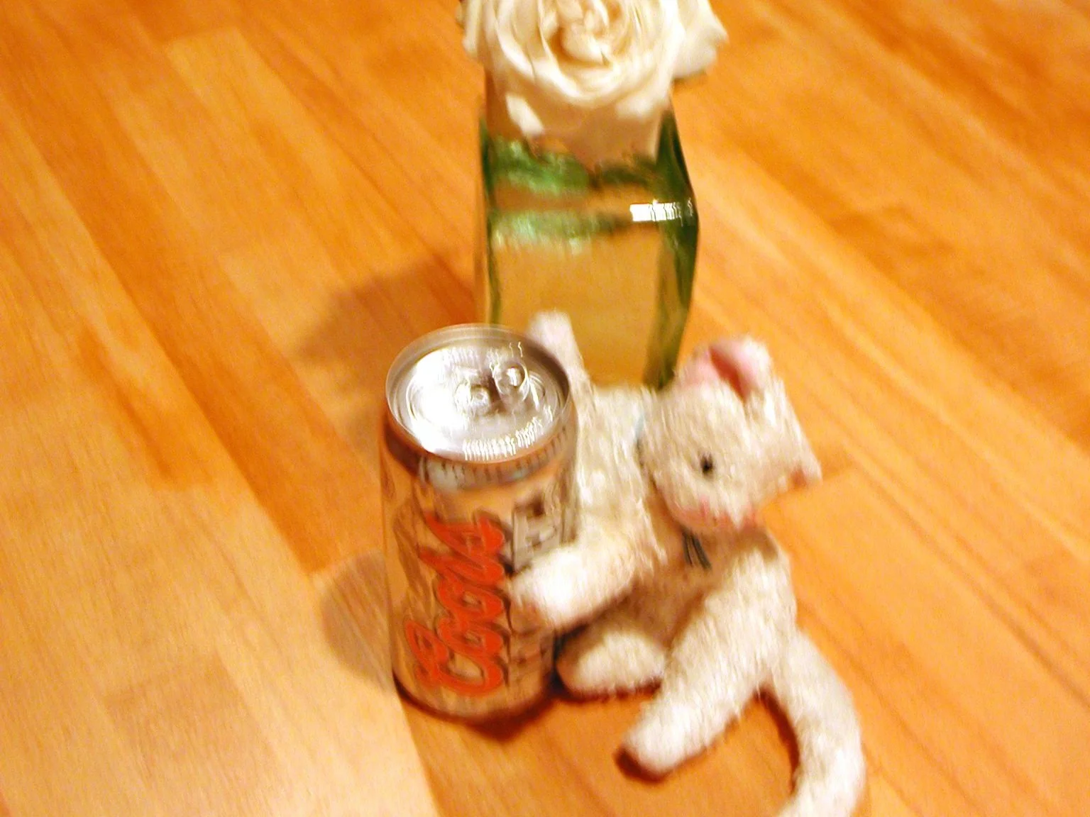 Palooza02WedCabinKitty.jpg