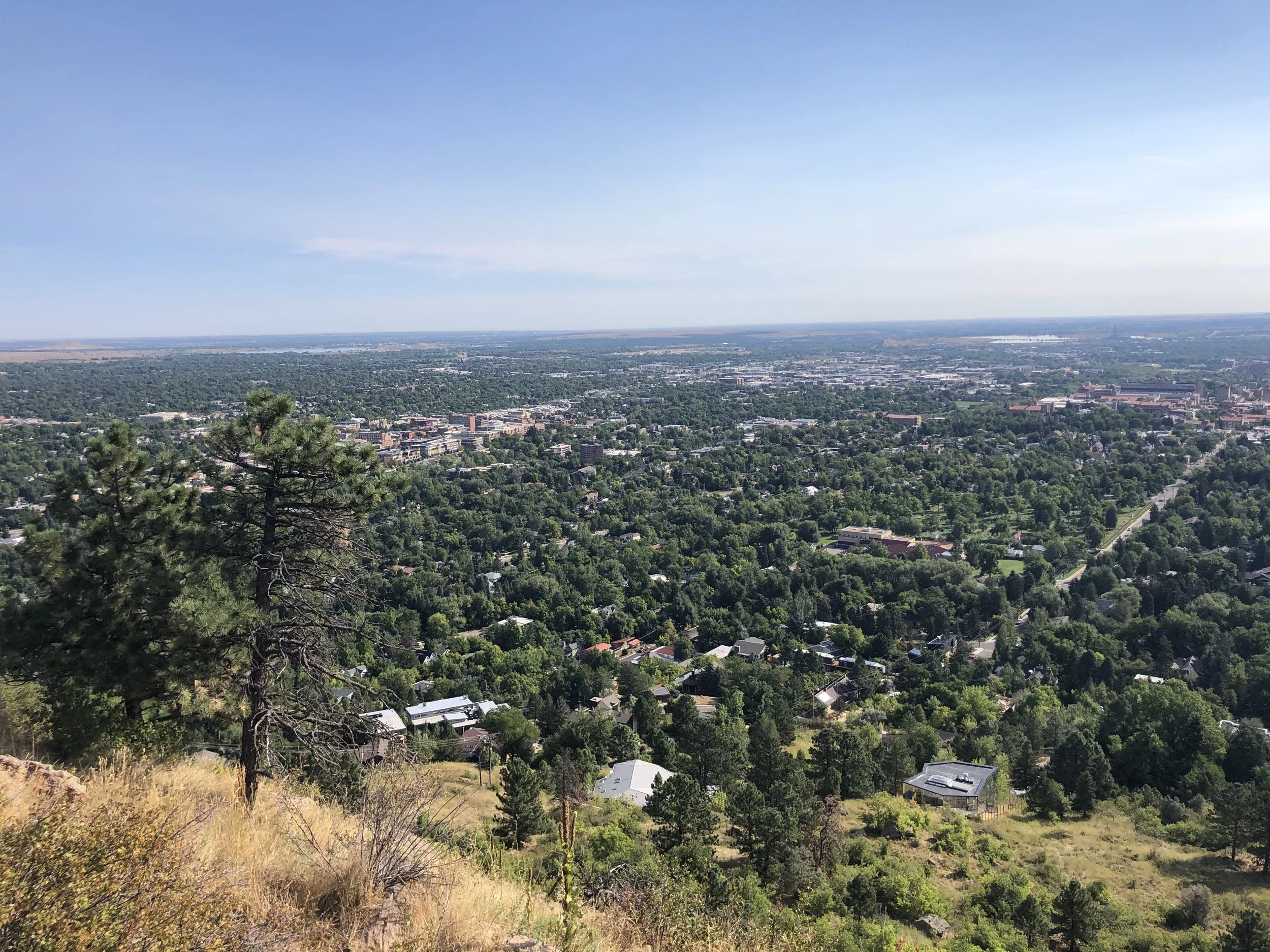 Palooza19BoulderDay5BoulderView1.jpeg