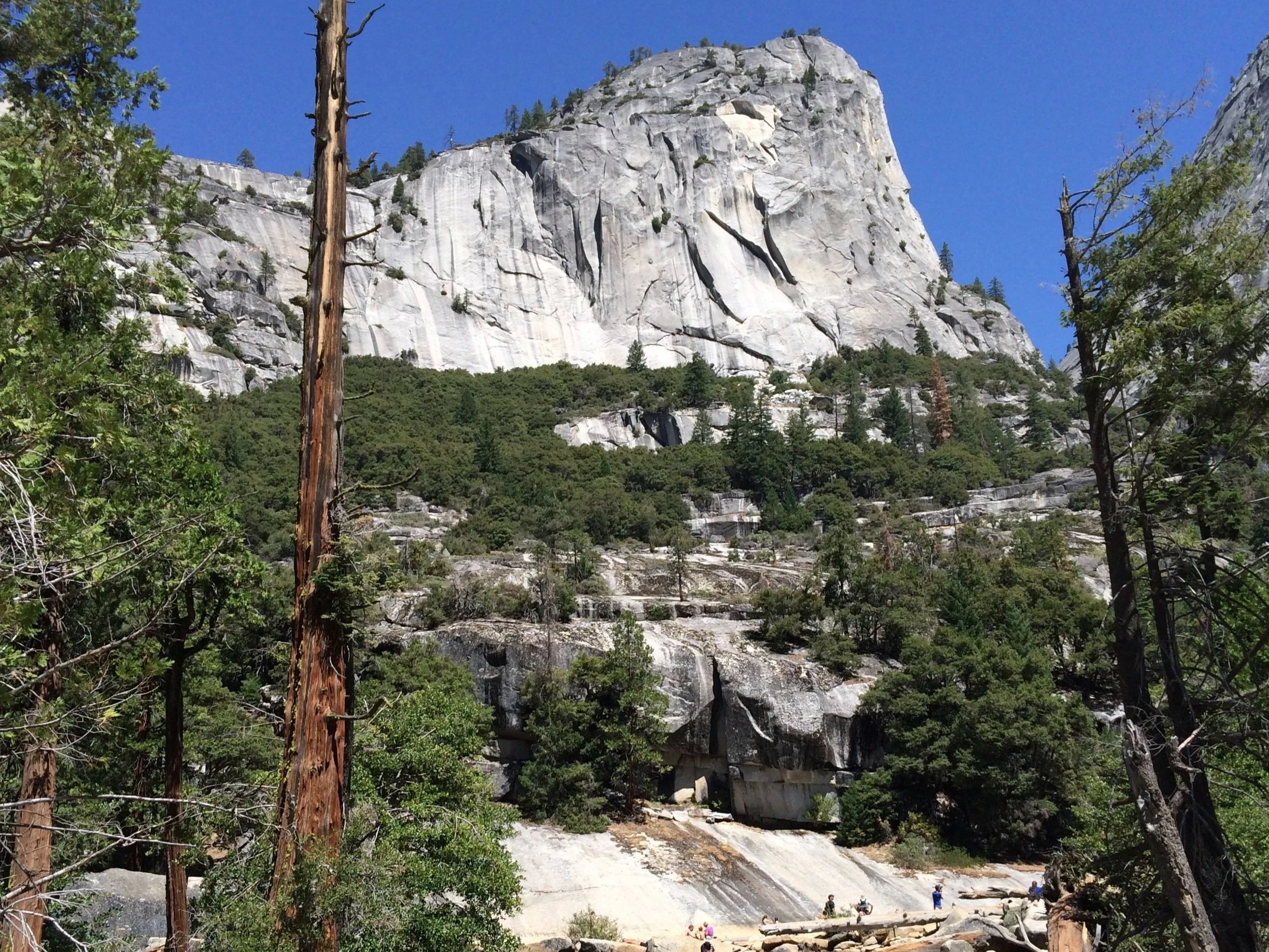 Palooza14Day4MoreYosemite43.jpg