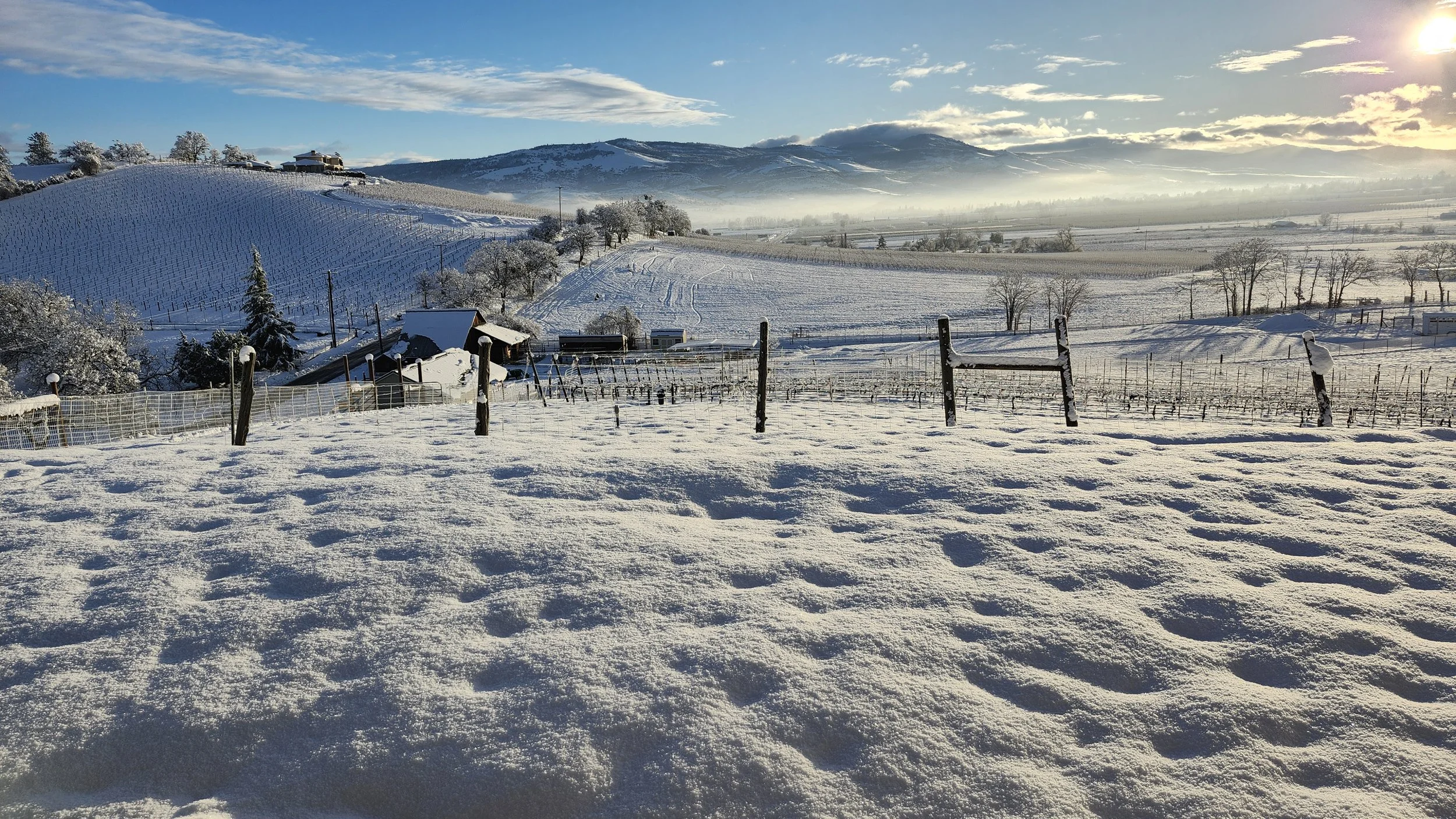 Snow-covered rural landscape with fields, trees, and hills in the background under a partly cloudy sky with the sun shining.