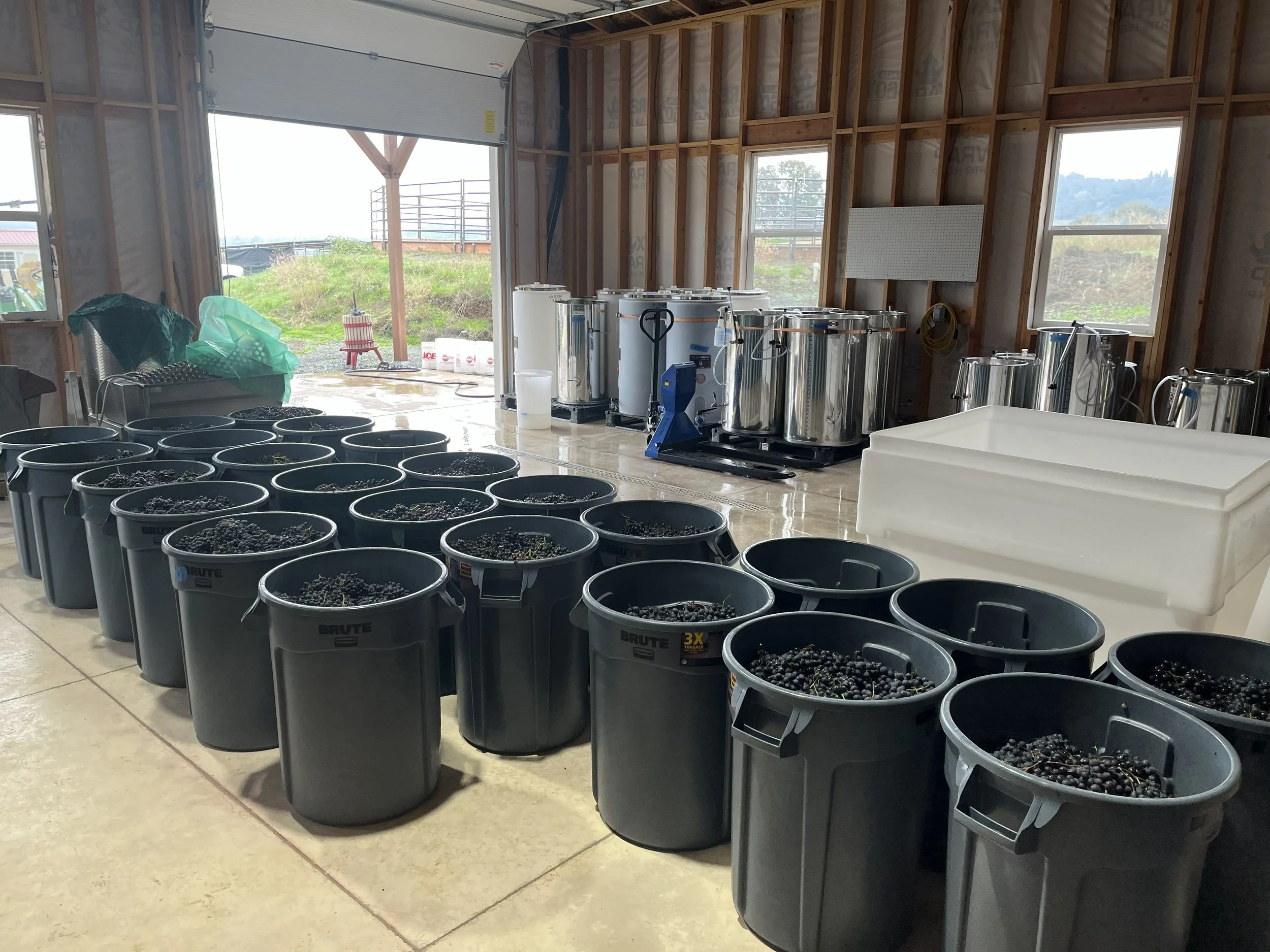 An interior view of a building under construction with exposed wooden framing. Several black buckets filled with dark berries are lined up on the floor in the foreground. In the background, stainless steel equipment and containers are visible, along 