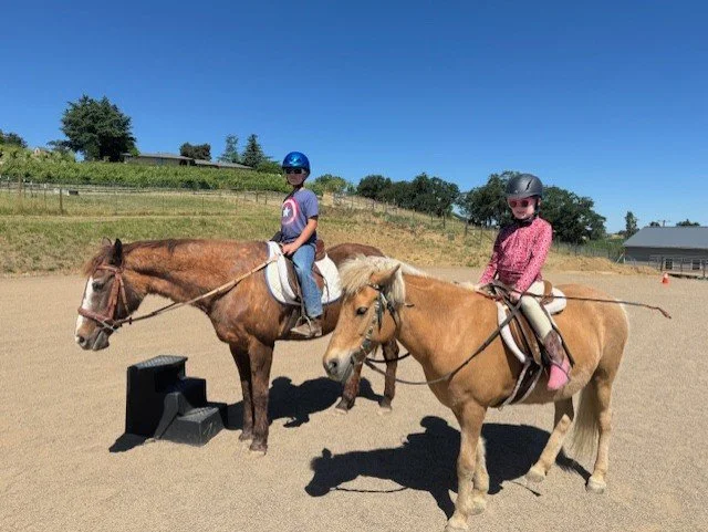 Two children in helmets riding ponies on a sandy outdoor arena.