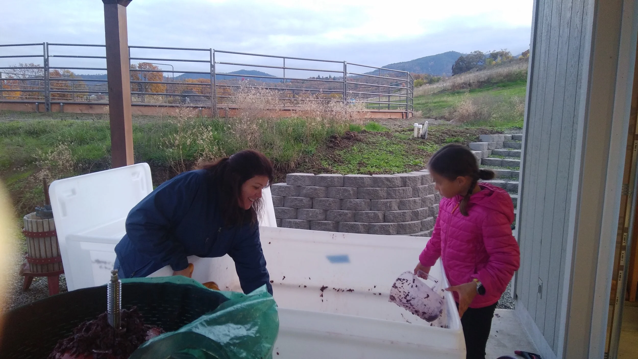 A woman and a girl are working together in a covered outdoor area, transferring wine must into a wine press .