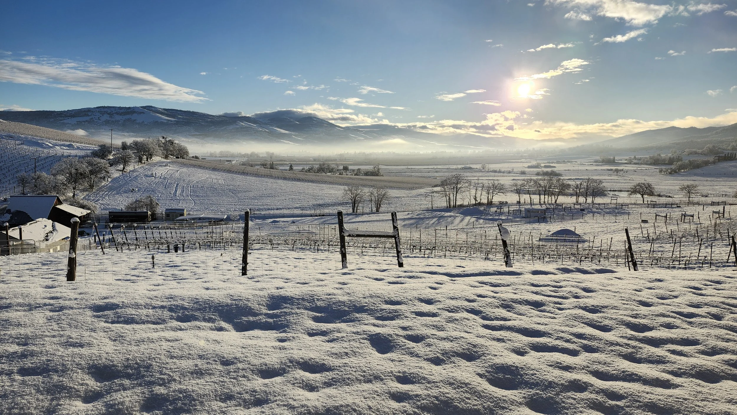 Snow-covered vineyard and farm with distant mountains and a bright sun in the sky.