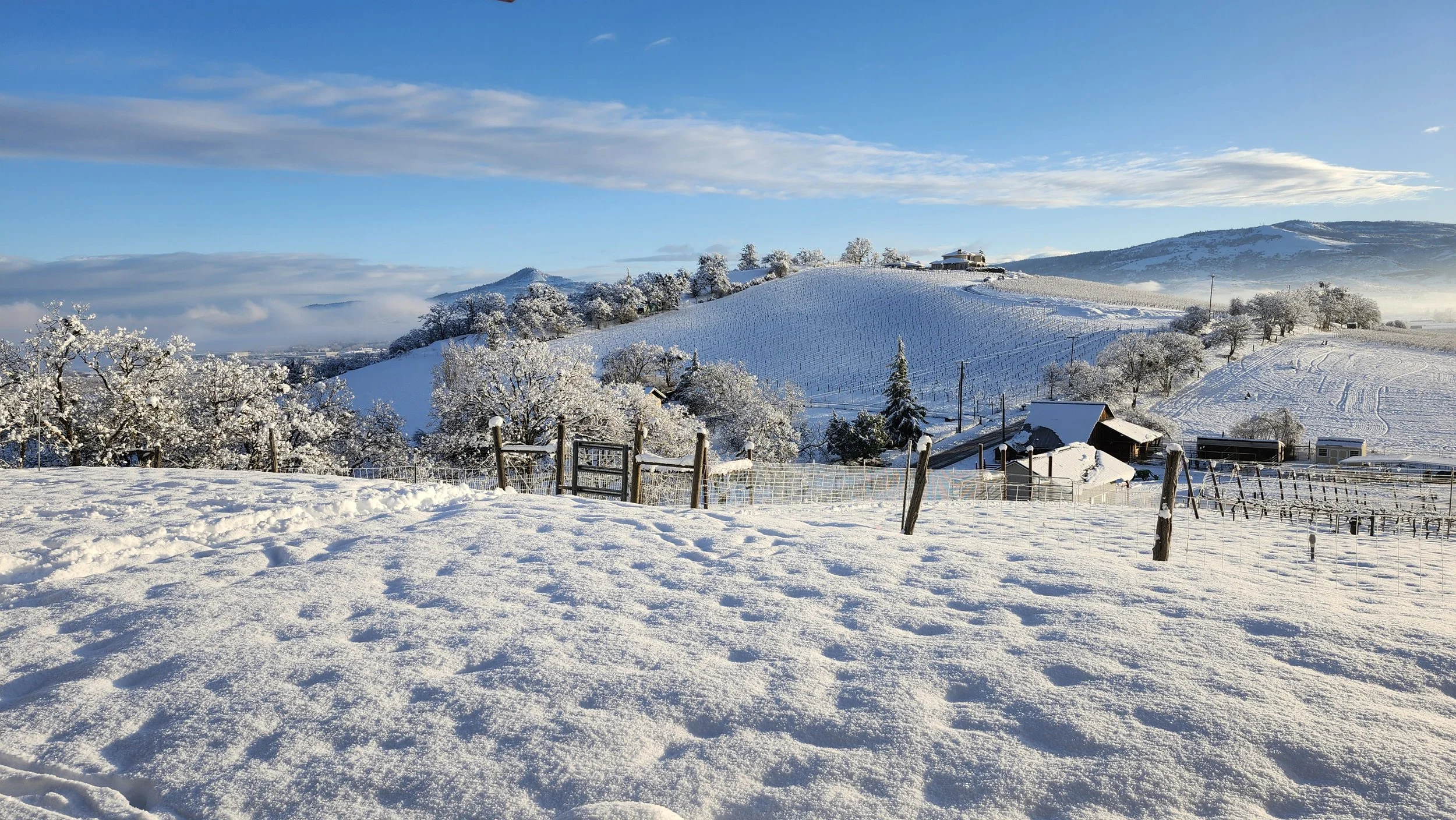 Snow-covered landscape with trees, hills, and a few buildings under a blue sky with clouds.