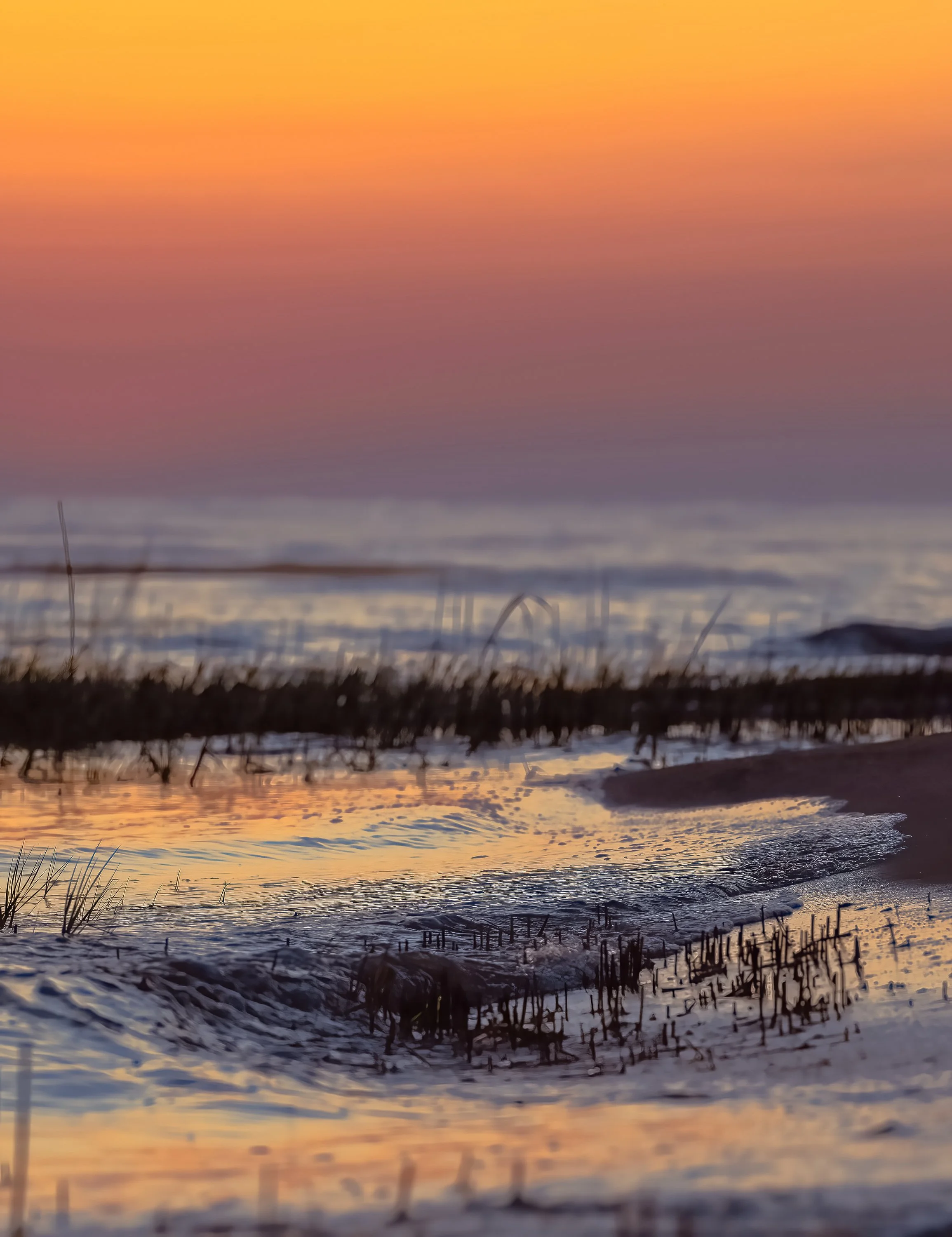 2026 March20 Fish Haul first light 1-DeNoiseAI-standard.jpg