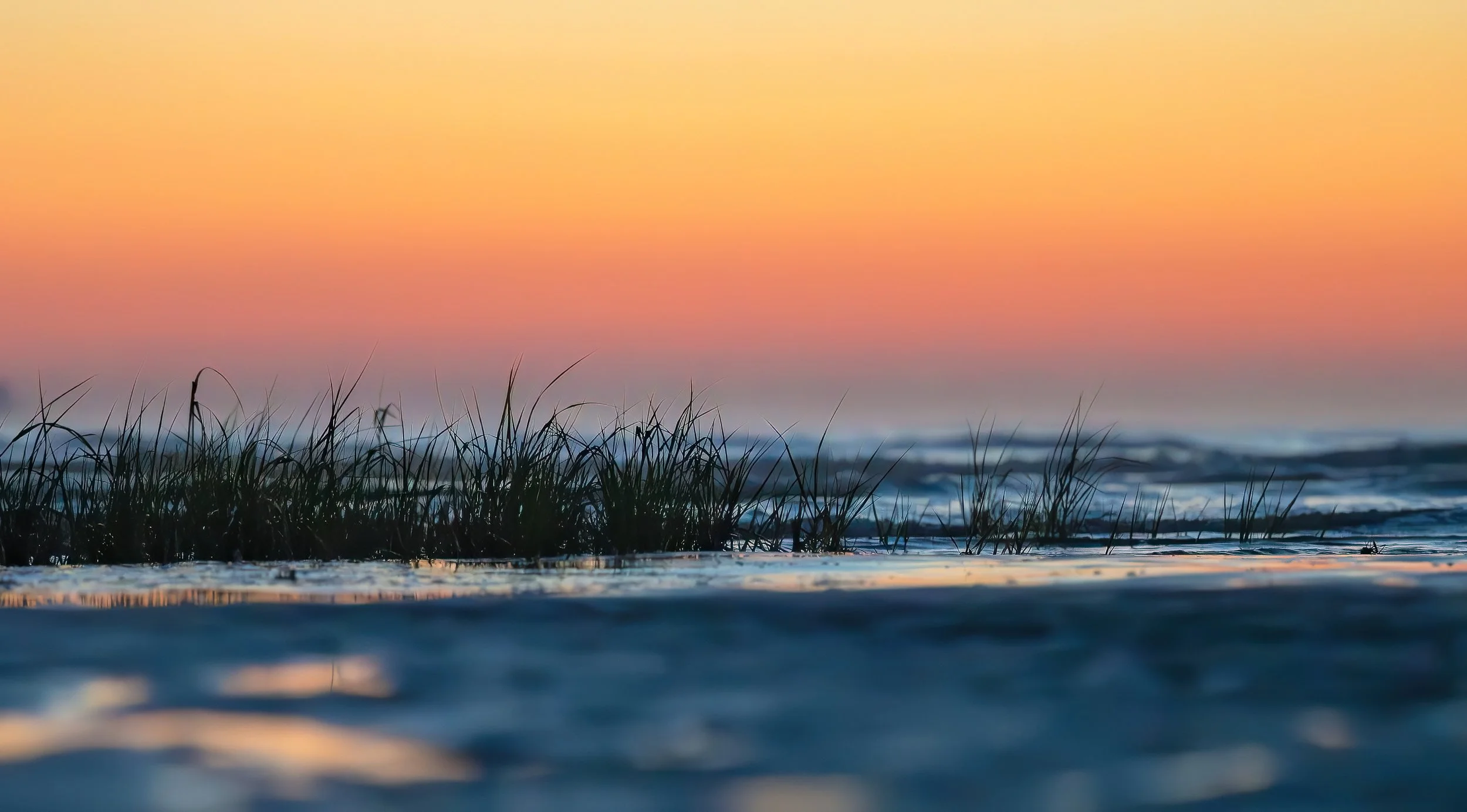 2026 March20 Fish Haul first light2-DeNoiseAI-low-light.jpg