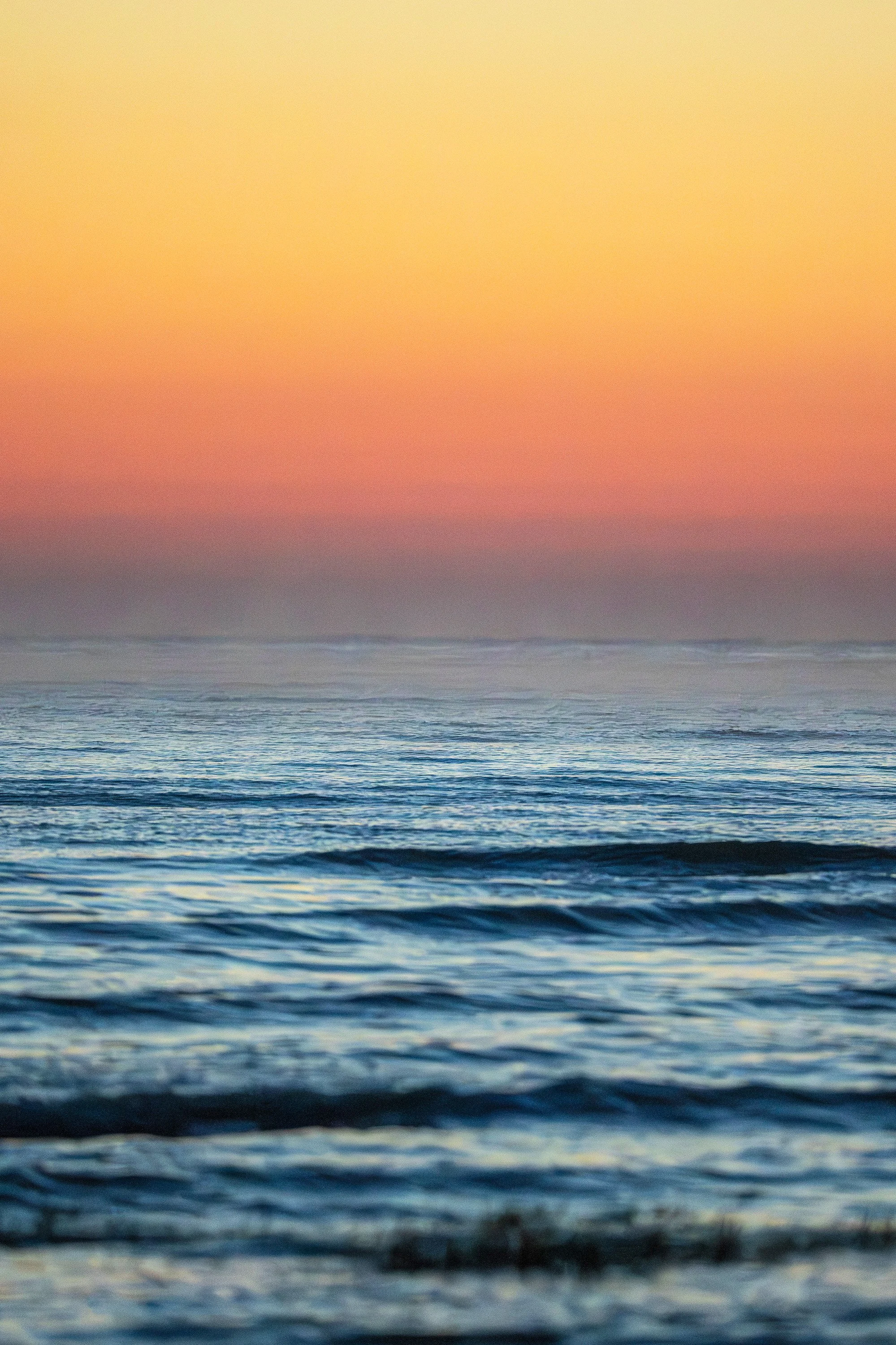 Pastel Skies and Lowcountry Birds: The Rayleigh Effect at Dawn