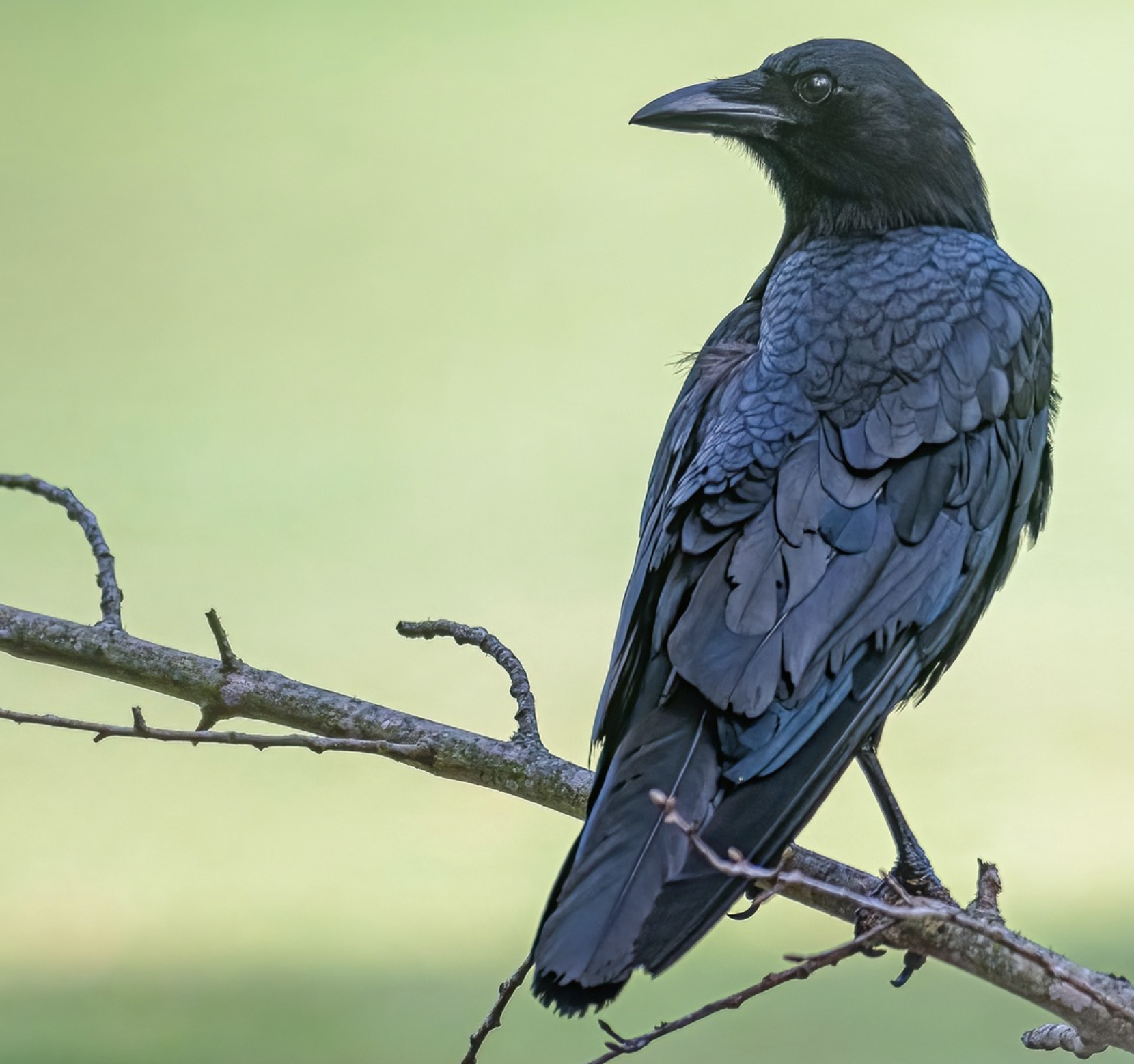 Screenshot 2026-04-04 at 10.04.23 PM.png