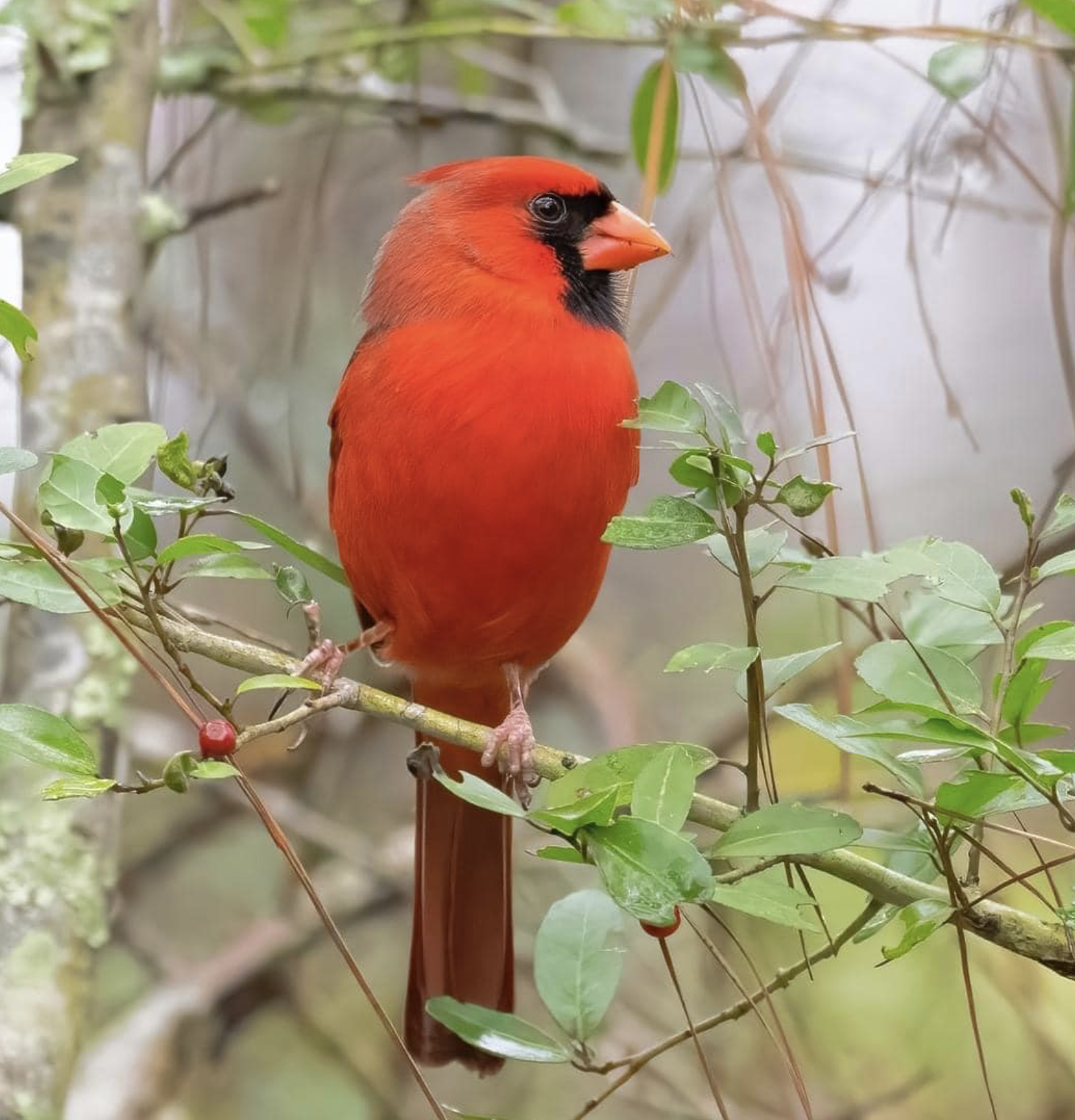 Screenshot 2026-04-04 at 10.03.49 PM.png