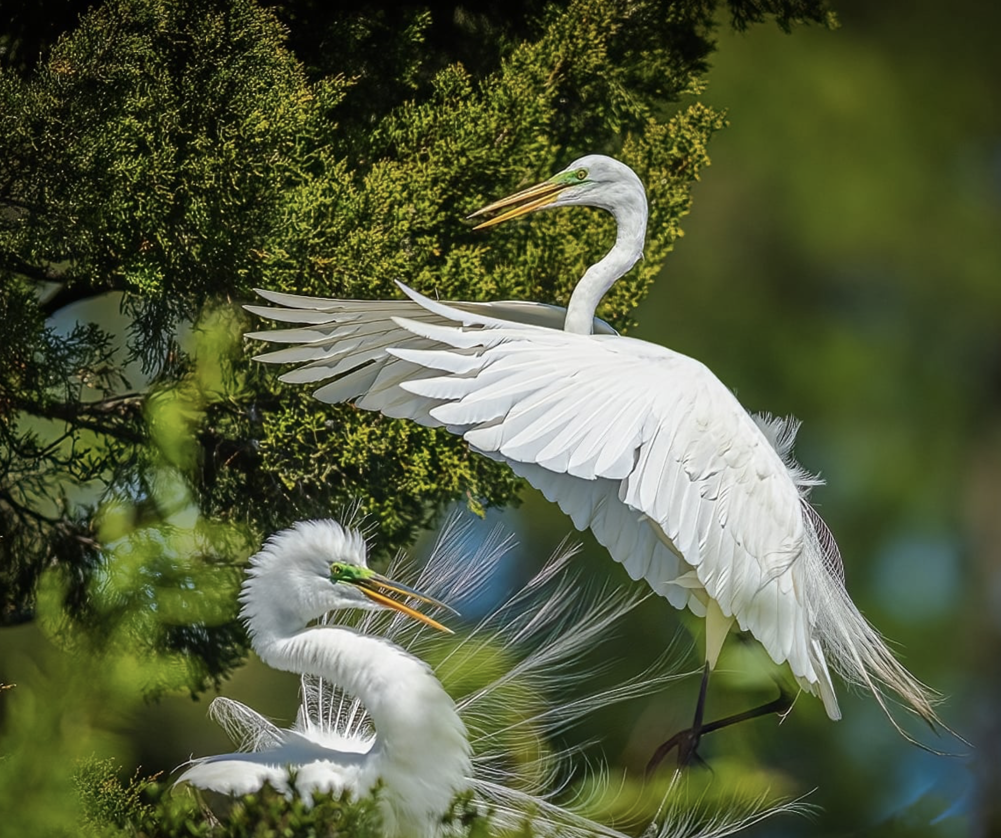 Screenshot 2026-04-04 at 10.15.49 PM.png