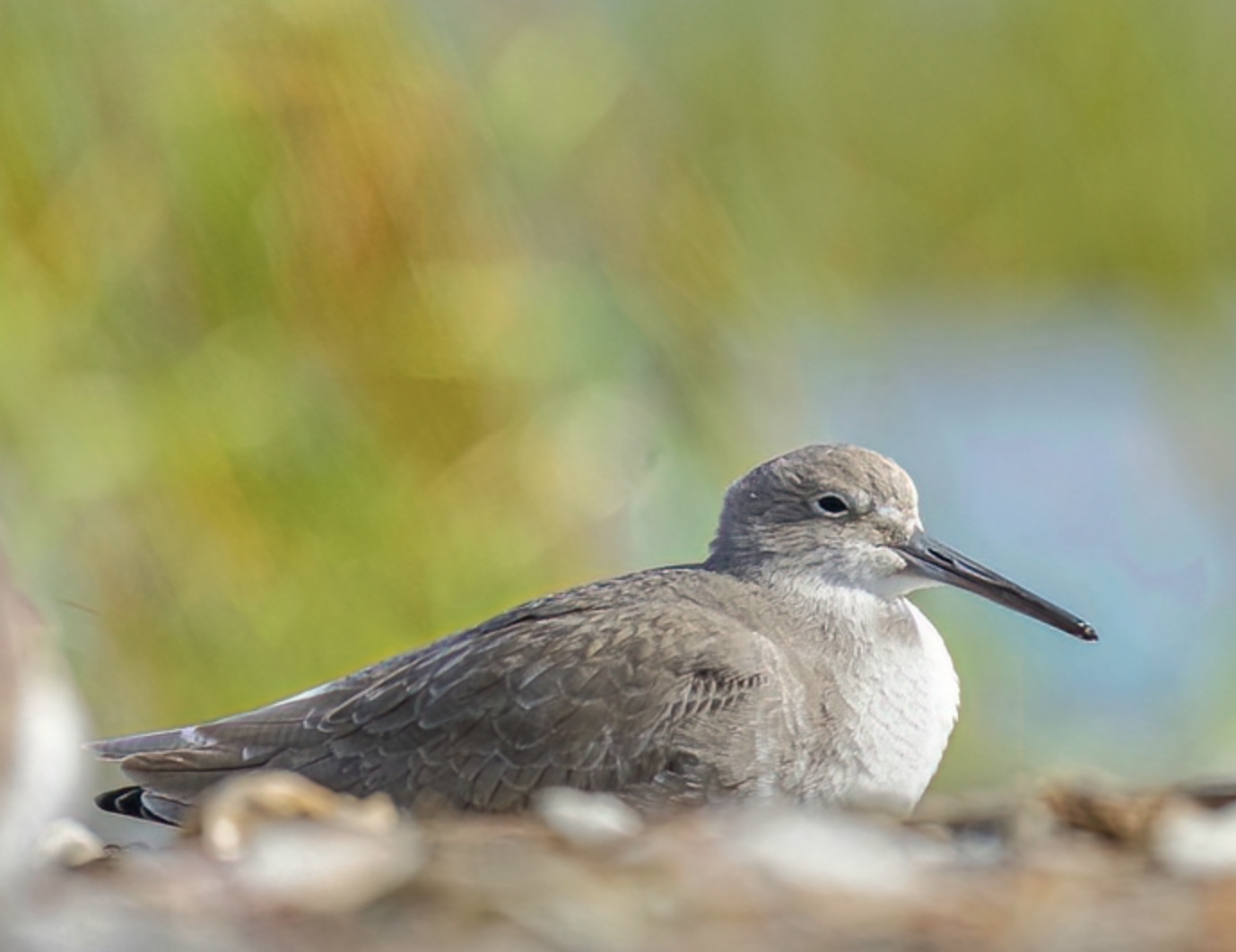 Screenshot 2026-04-04 at 10.13.26 PM.png