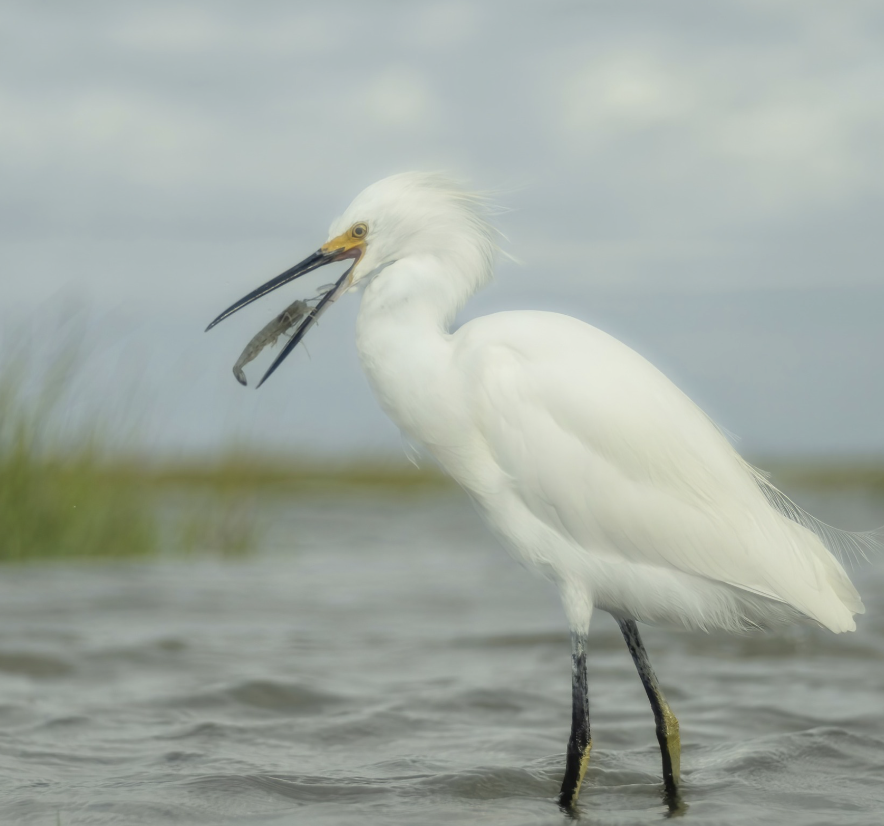 Screenshot 2026-04-04 at 10.12.47 PM.png