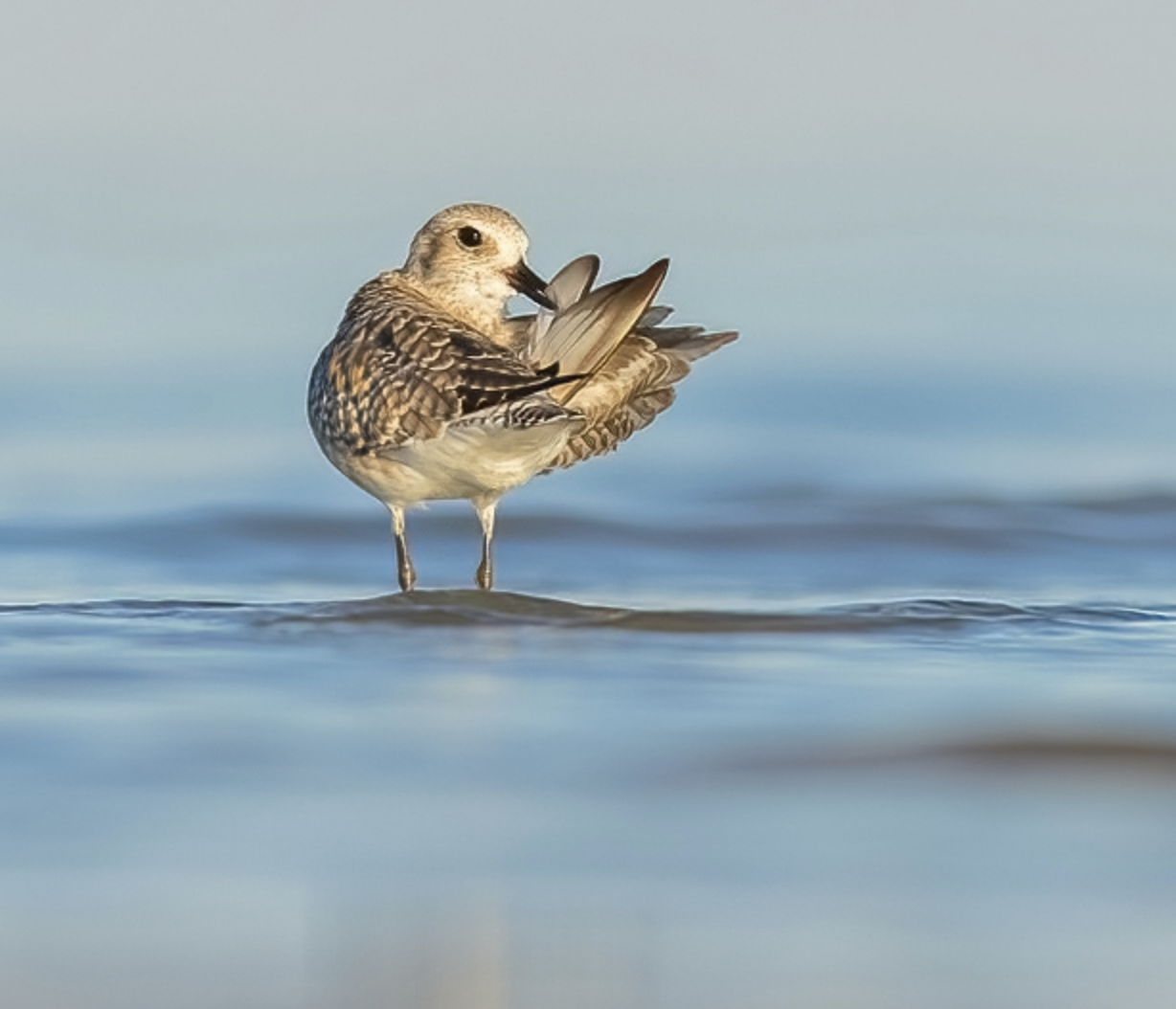 Screenshot 2026-04-04 at 10.11.30 PM.png