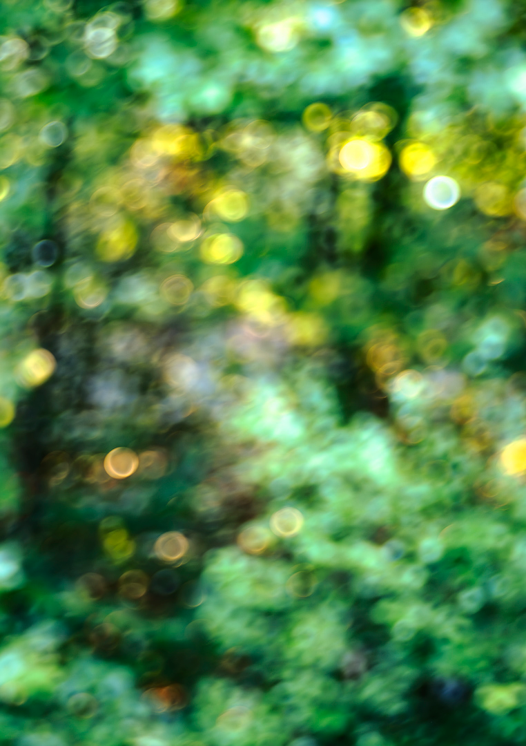2026 August Mountain Cabin Sunrise Bokeh 6.png