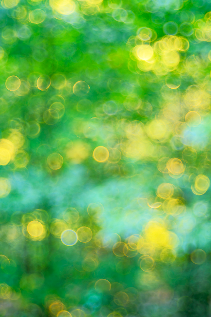 2026 August Mountain Cabin Sunrise Bokeh 1.png