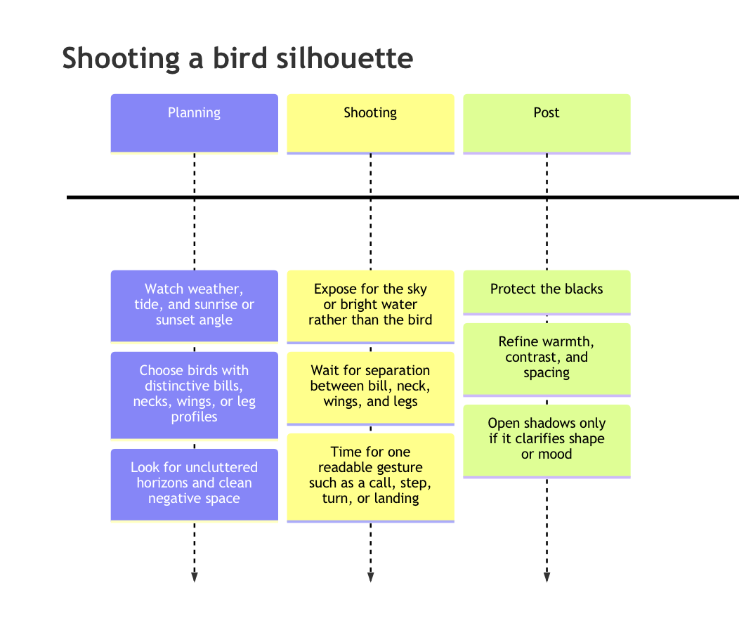 Guidance chart on how to shoot a bird silhouette