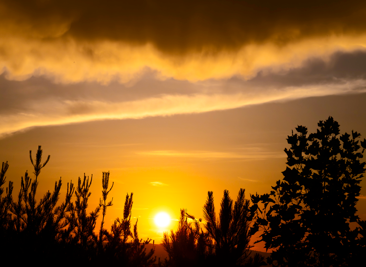 Sunset Blue Ridge Ellijay Mountain Landscape
