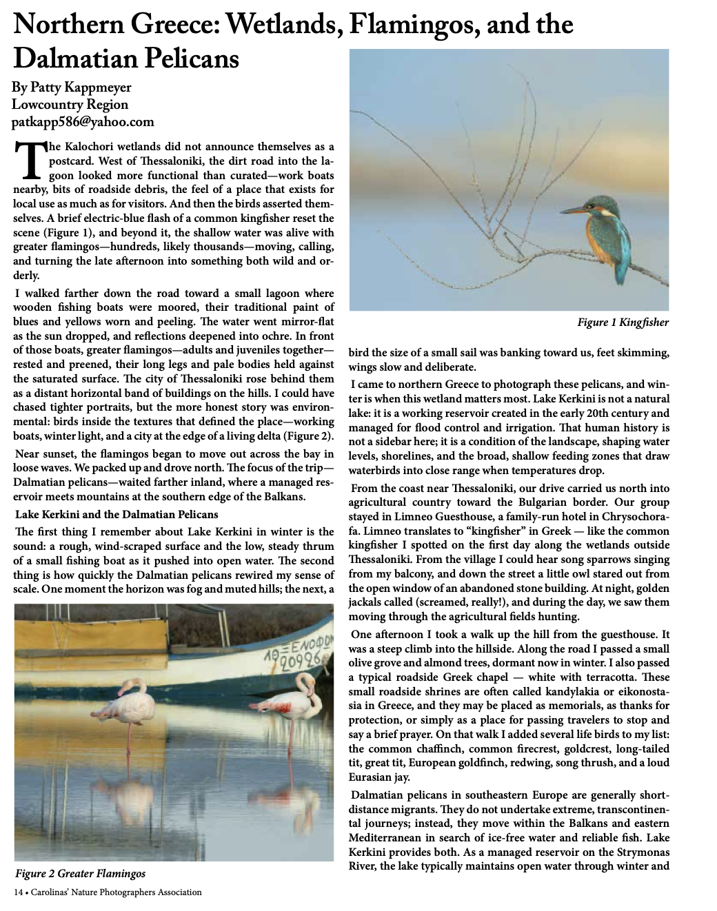 Camera in the Wild Best Travel Article PSA 2026