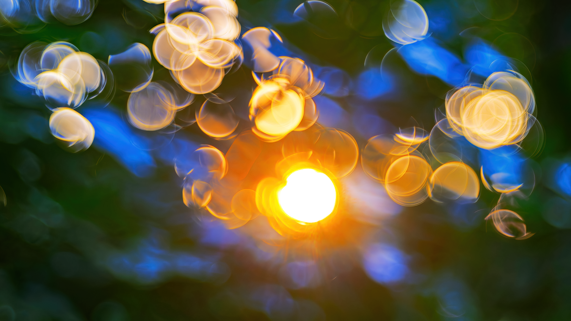 Sunrise Bokeh thought the woods North Georgia mountains