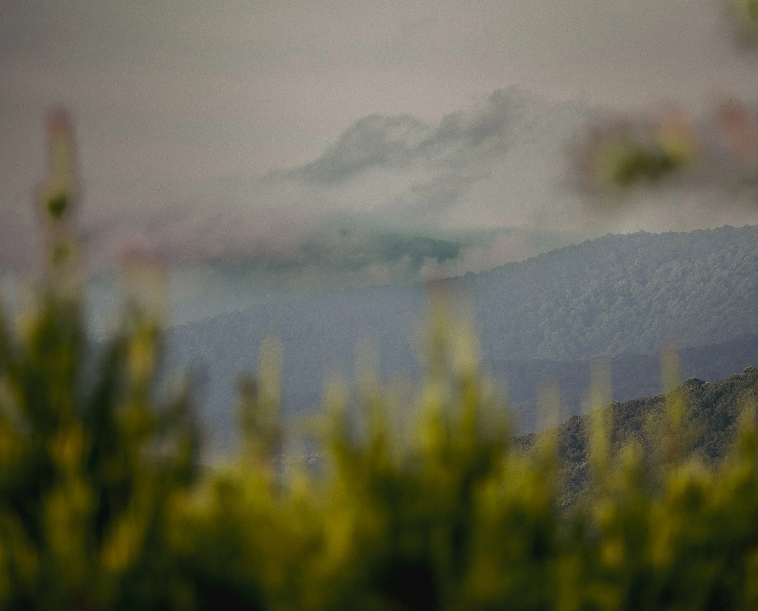 Landscape of North Georgia Blue Ridge Mountains