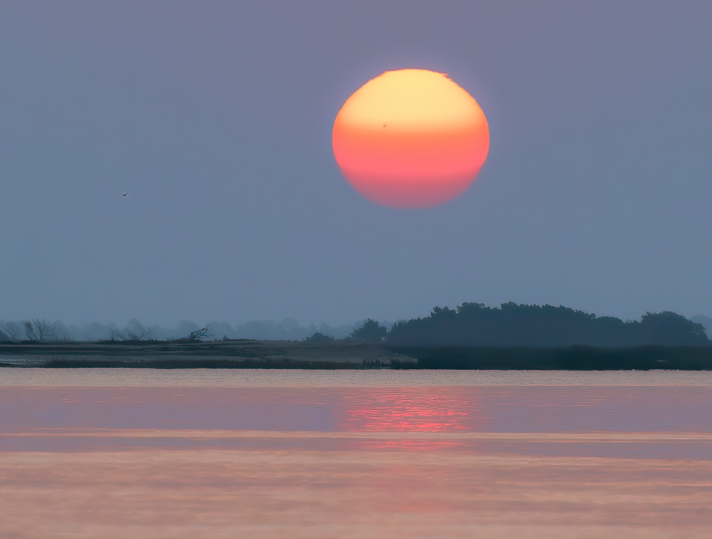 Sun rising over ACE Basin - South Carolina