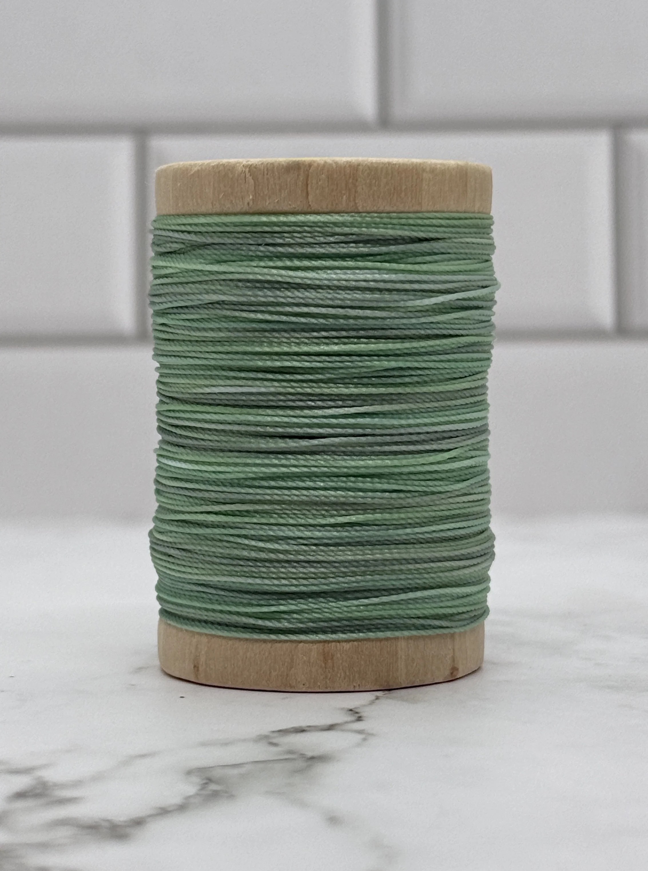 Lichen Nylon 2.jpg