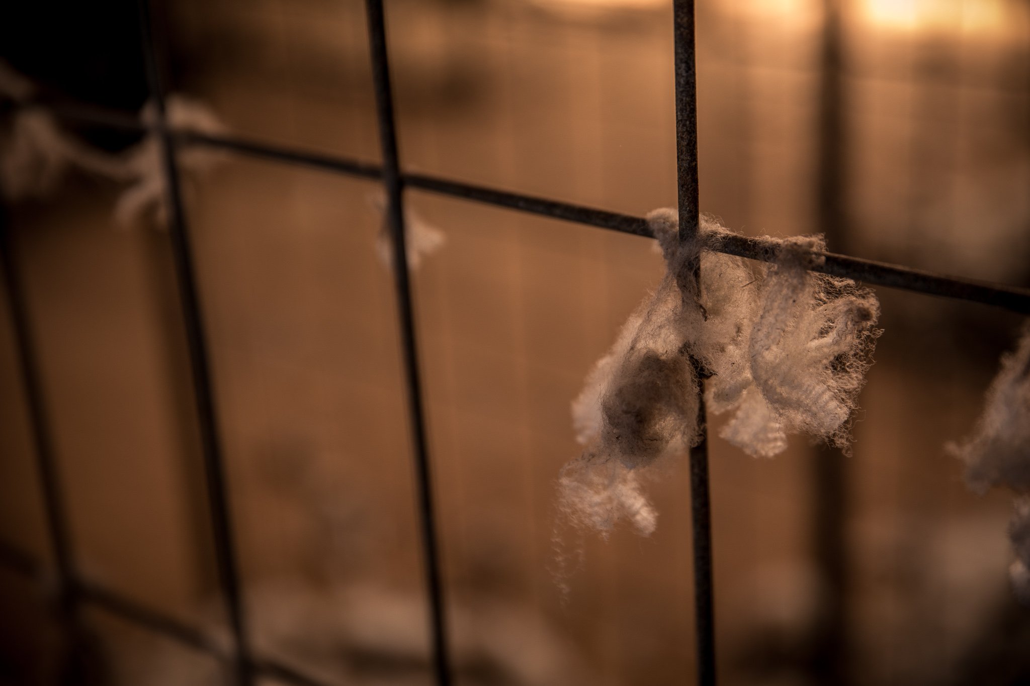 Close-up of wire mesh with dust and lint accumulation.
