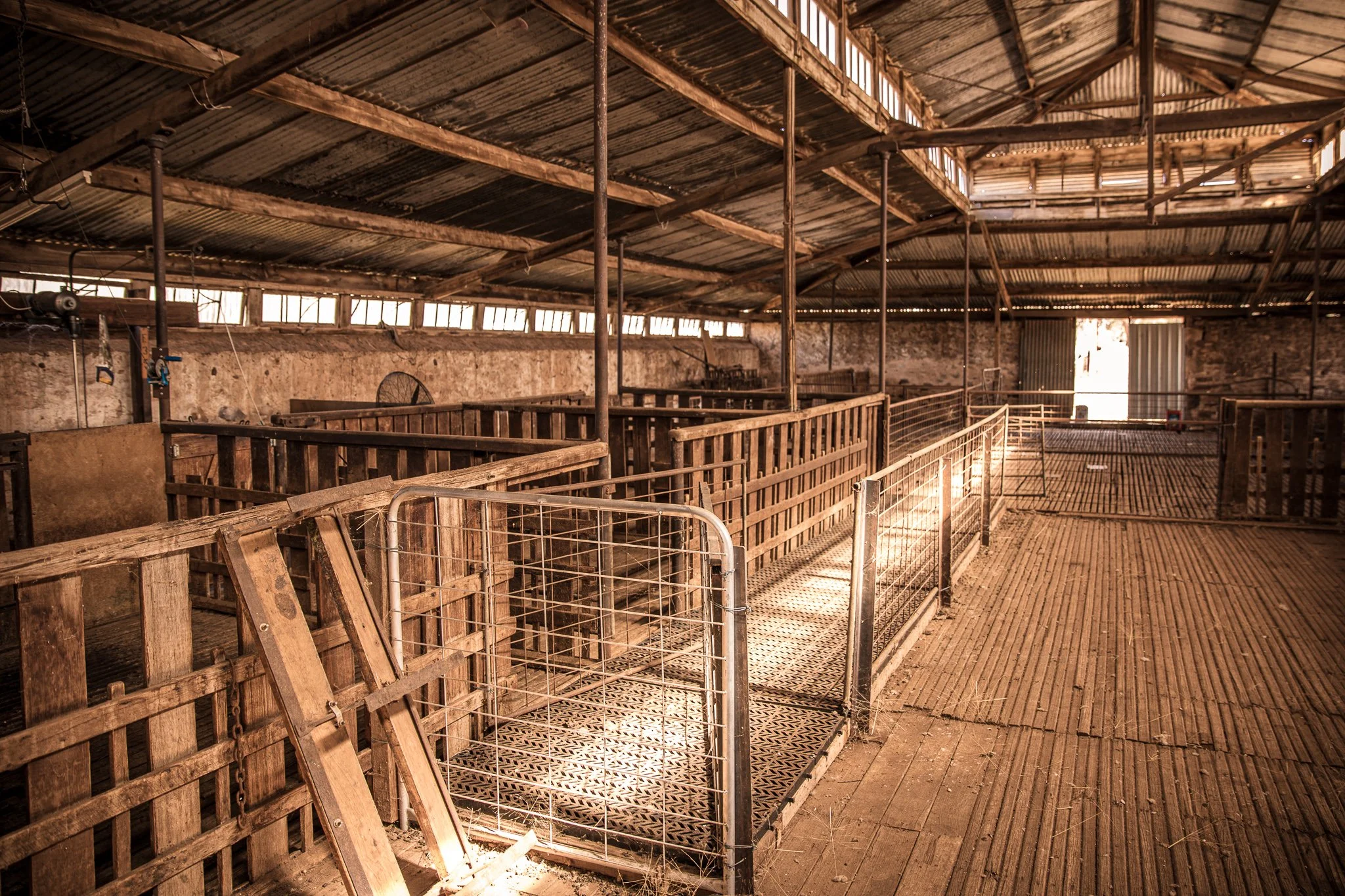 Interior of an empty rustic barn with wooden partitions and corrugated metal roof.