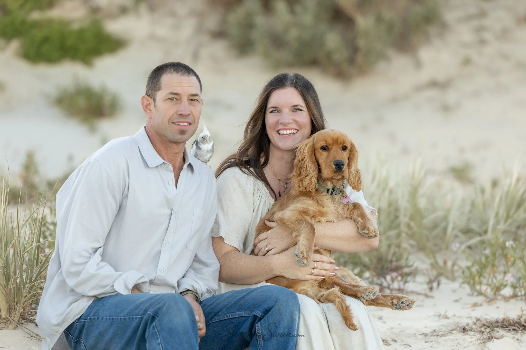 pets are family