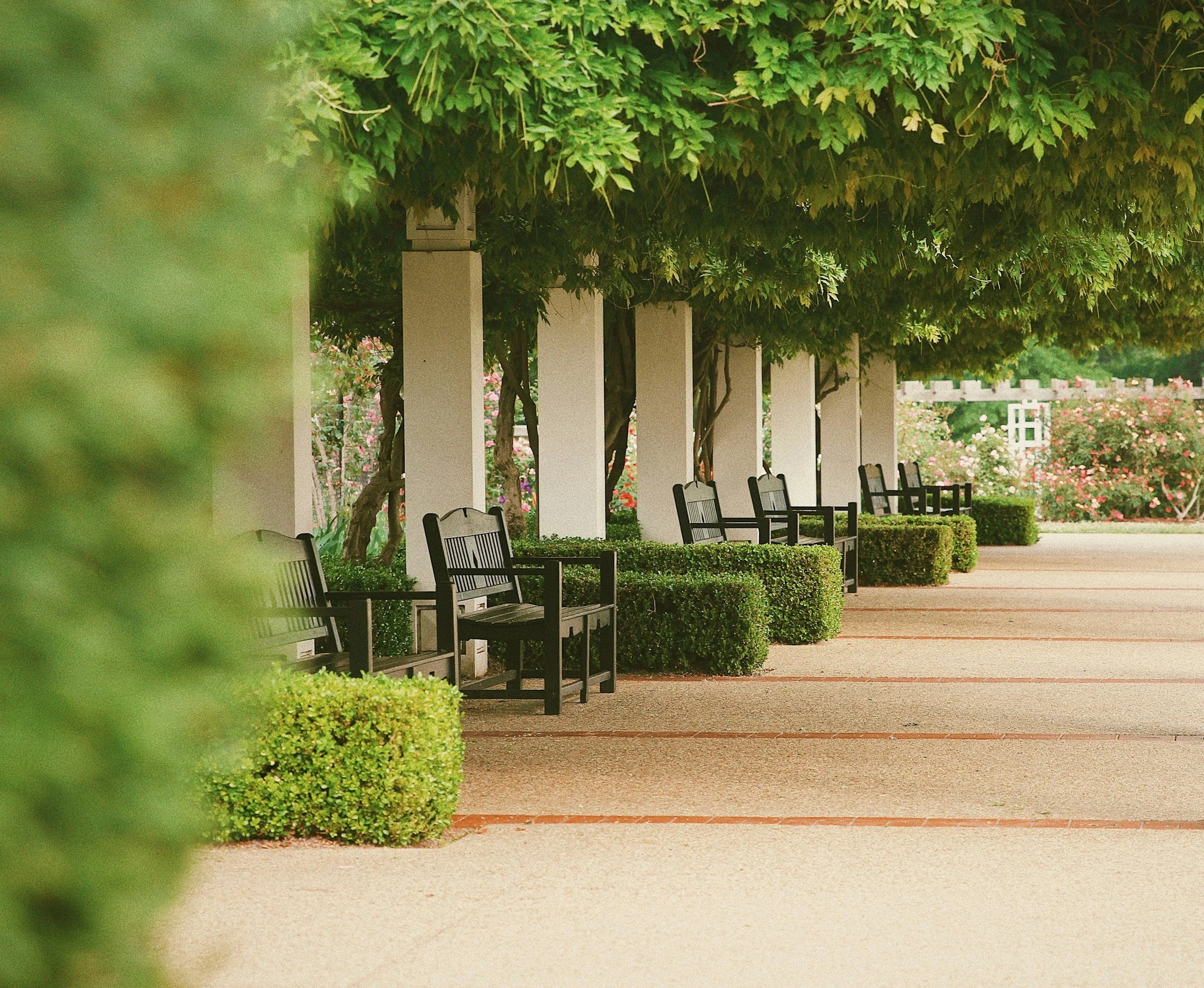 Parliament Courtyard Seating
