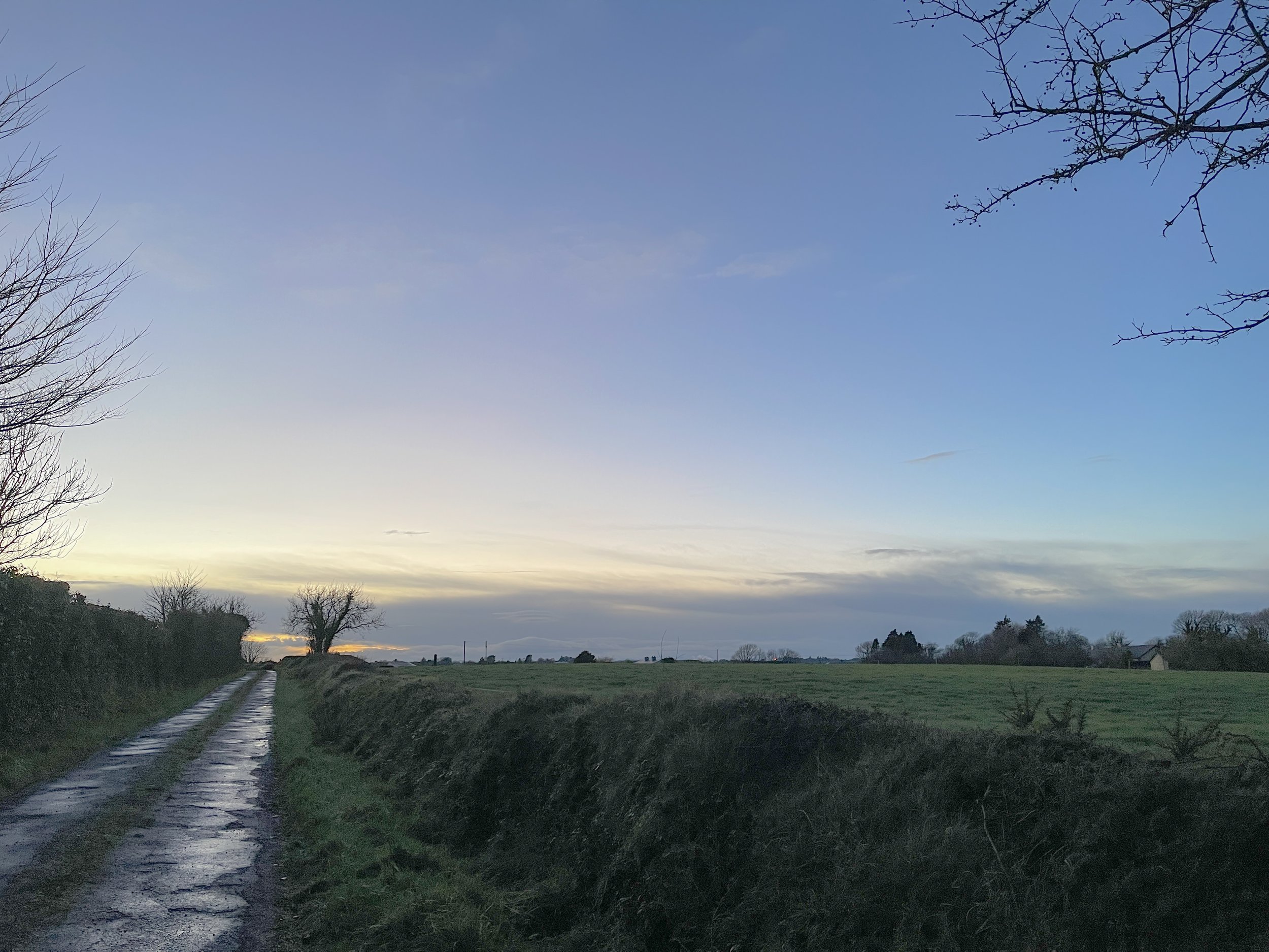 The Cozy Cottage is Expanding