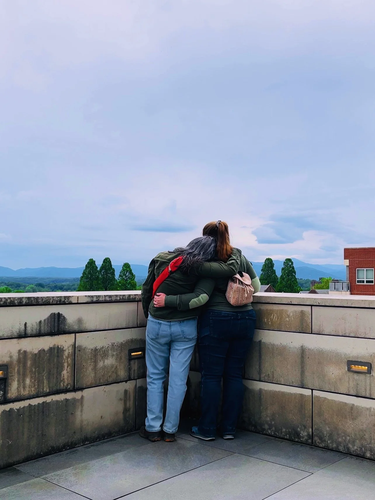 Ireland or Bust: The Cultivation of a Moving Plan