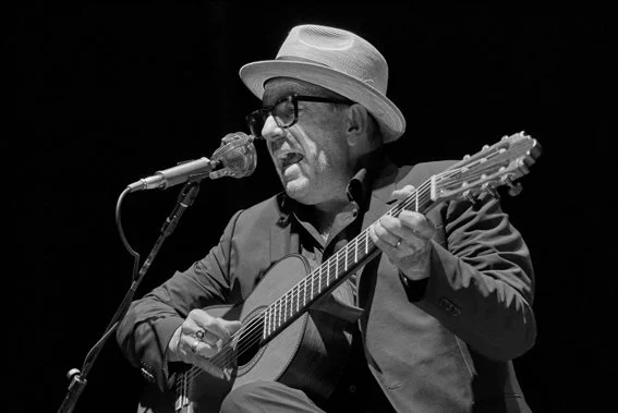 Elvis Costello—His Aim Was True