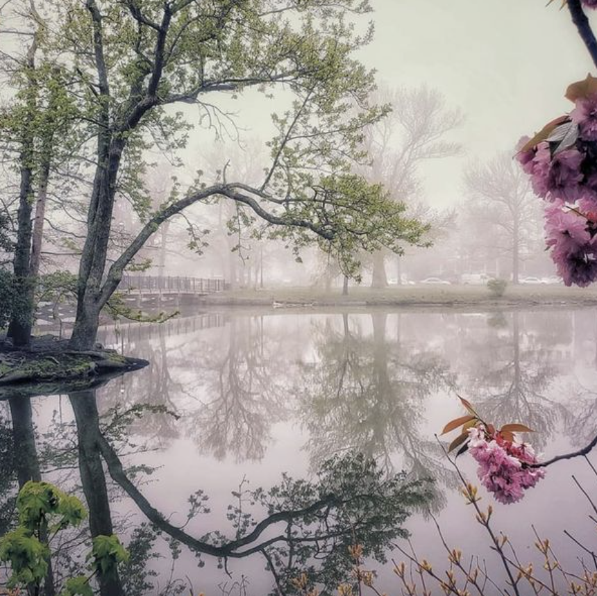 BLACK GLASS GALLERY [EPISODE 92]