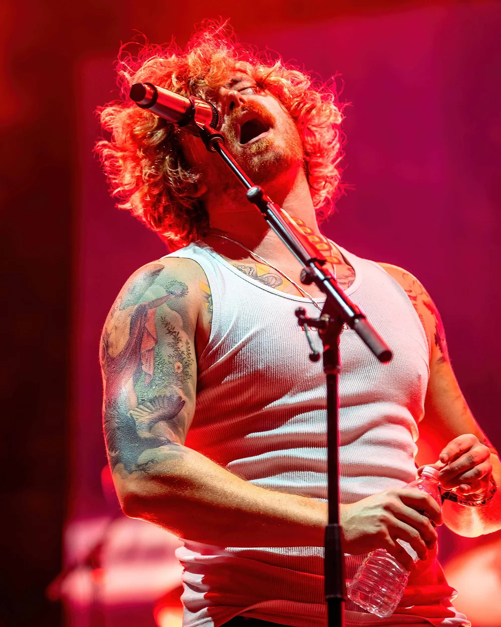 DSC_1988 sublime-SharpenAI-Standard small.jpg