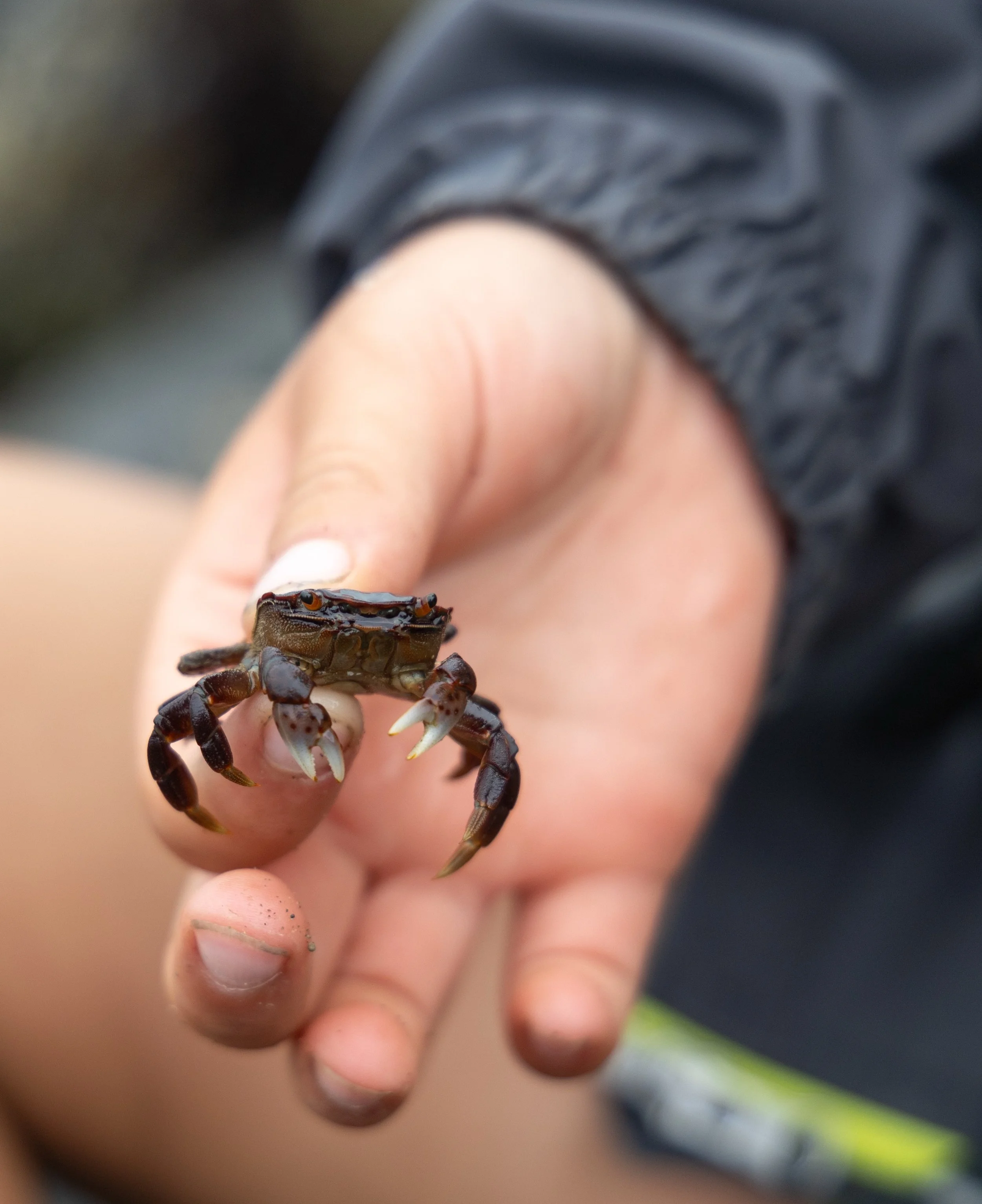 Ocean 2024 - 039.jpg