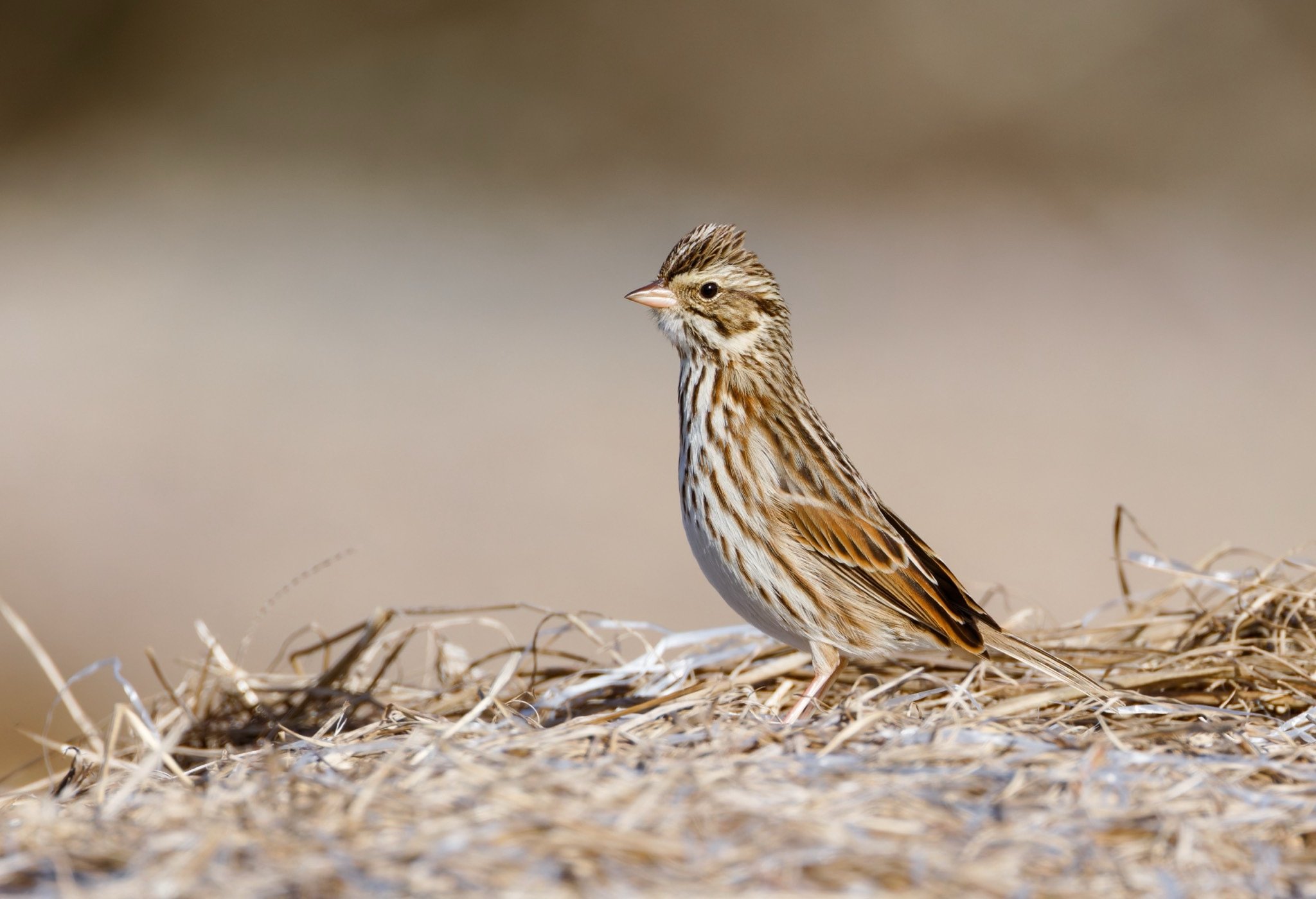 Texas 2023 - 086.jpg