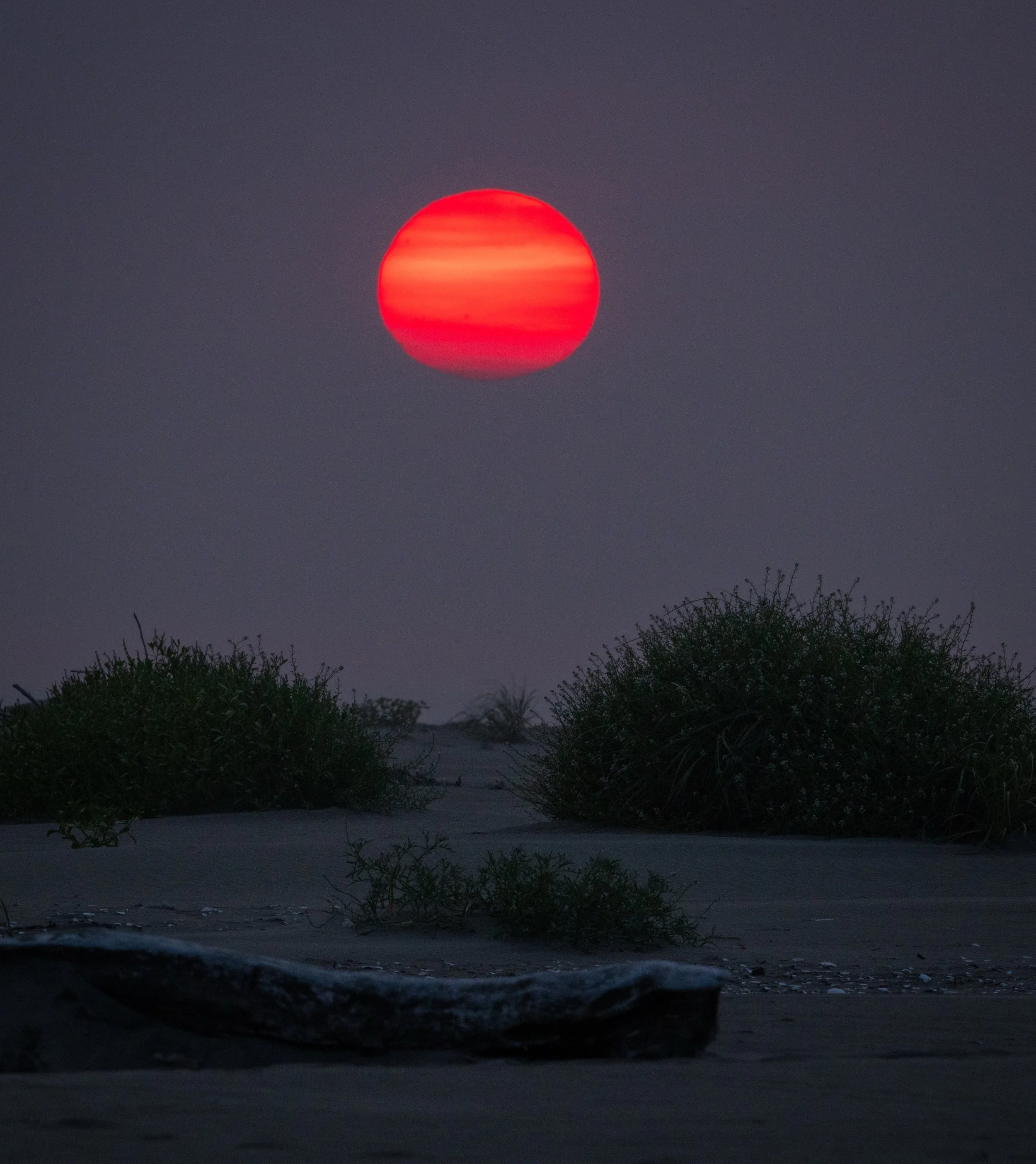 Ocean 2024 - 026.jpg