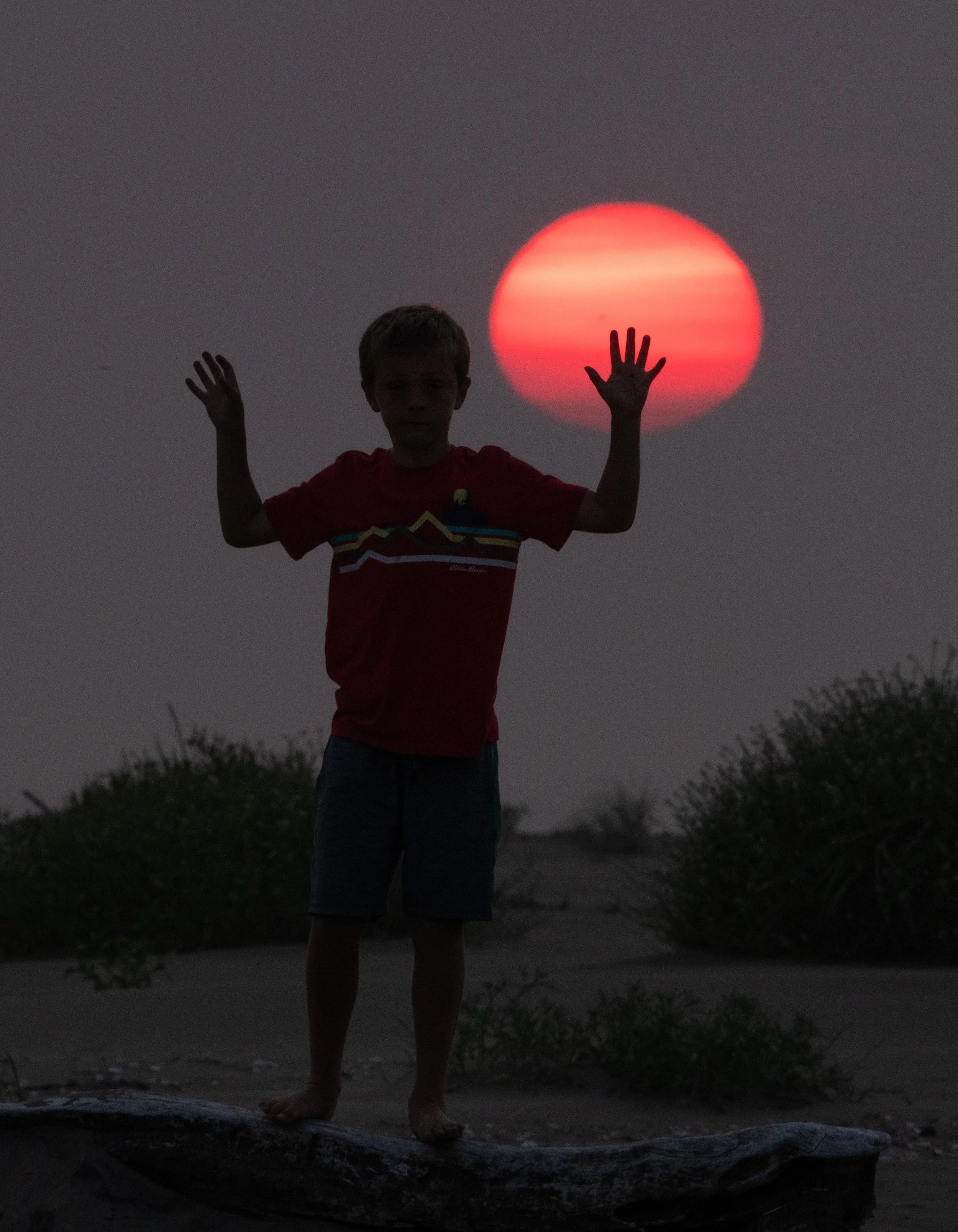 Ocean 2024 - 027.jpg