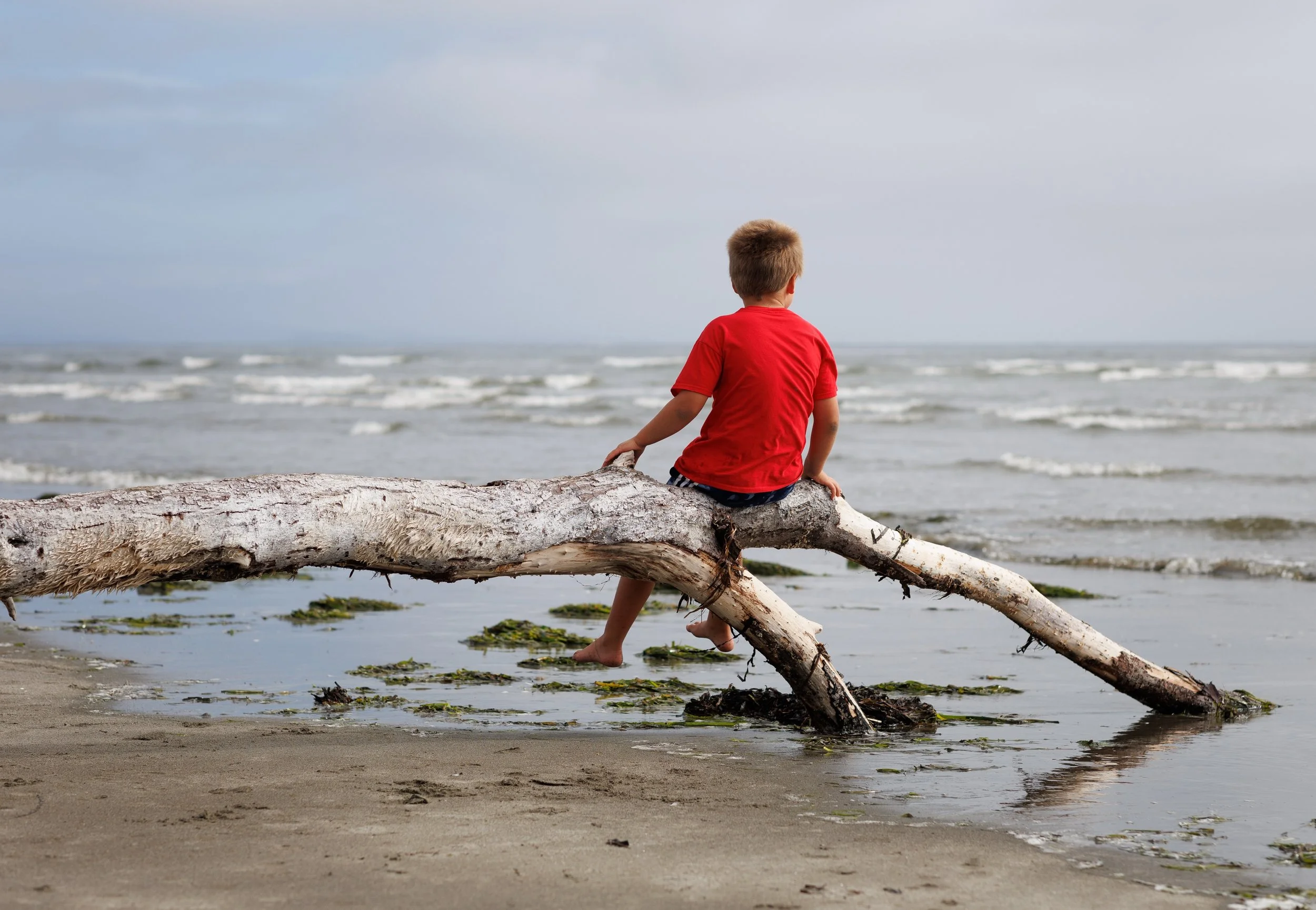 Ocean 2024 - 051.jpg