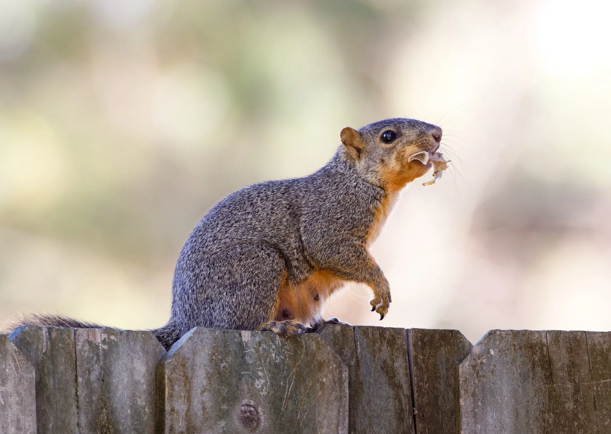 Texas 2023 - 010.jpg