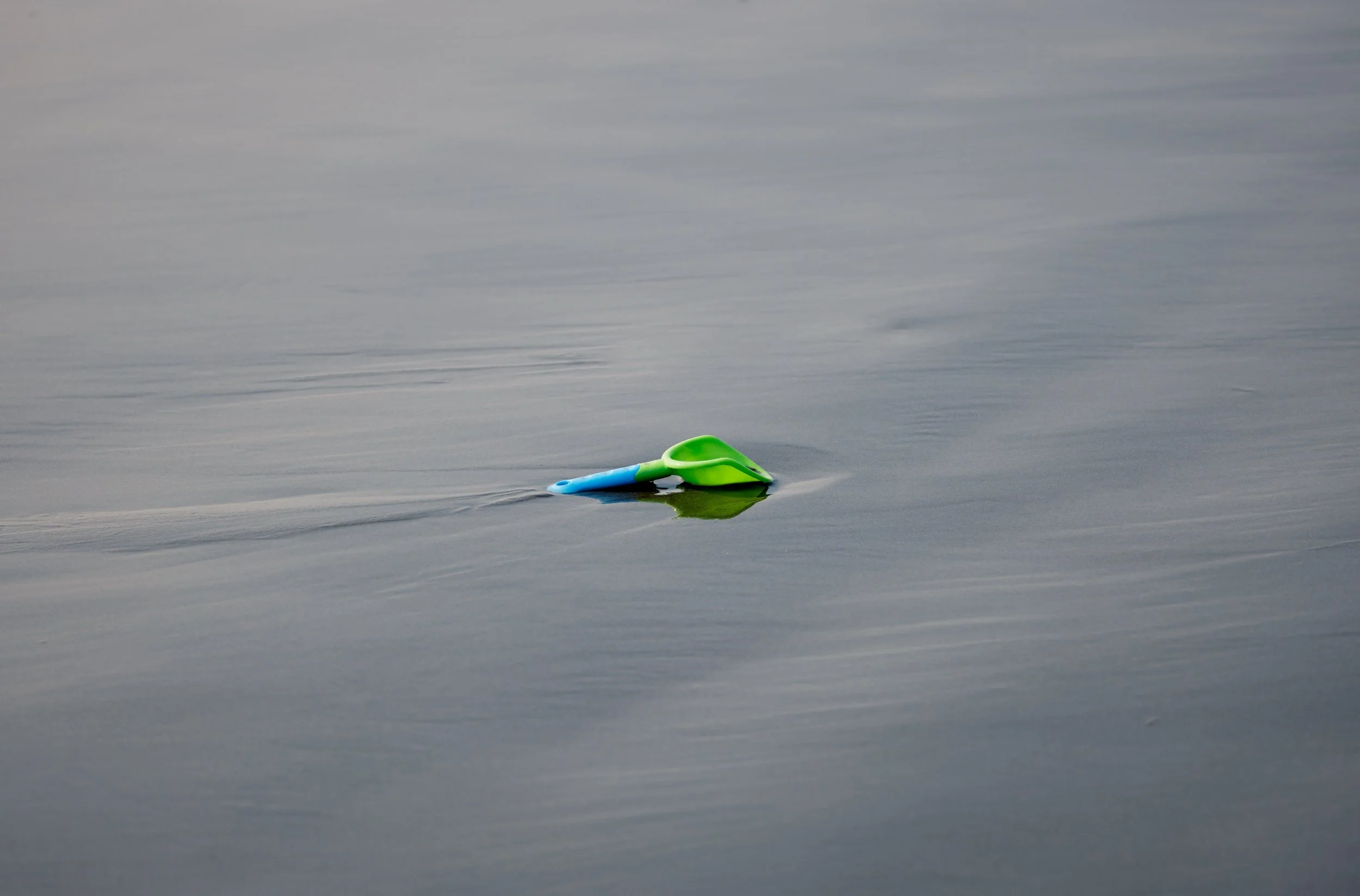 Ocean 2024 - 023.jpg