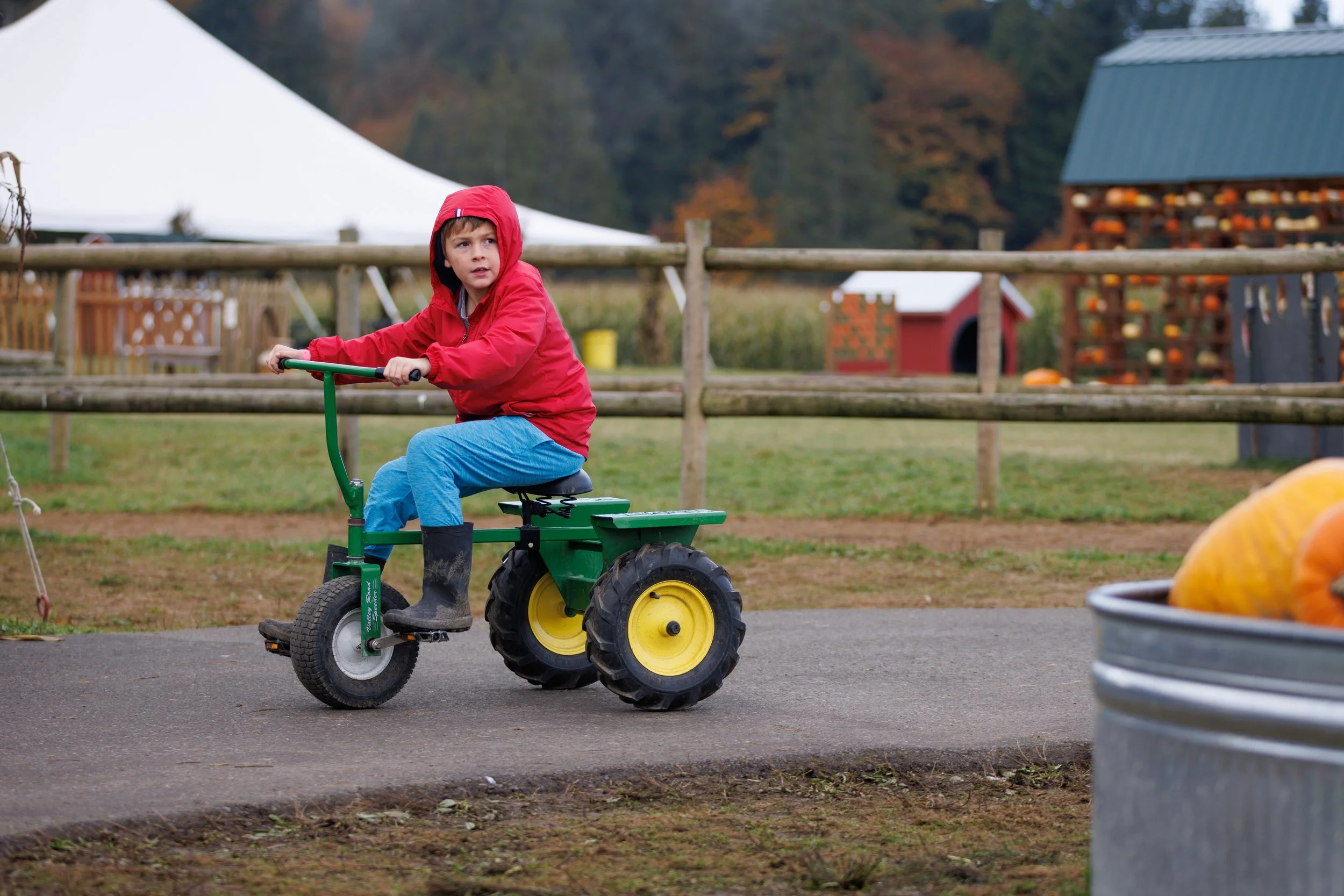 Altair's 8th Birthday - 005.jpg