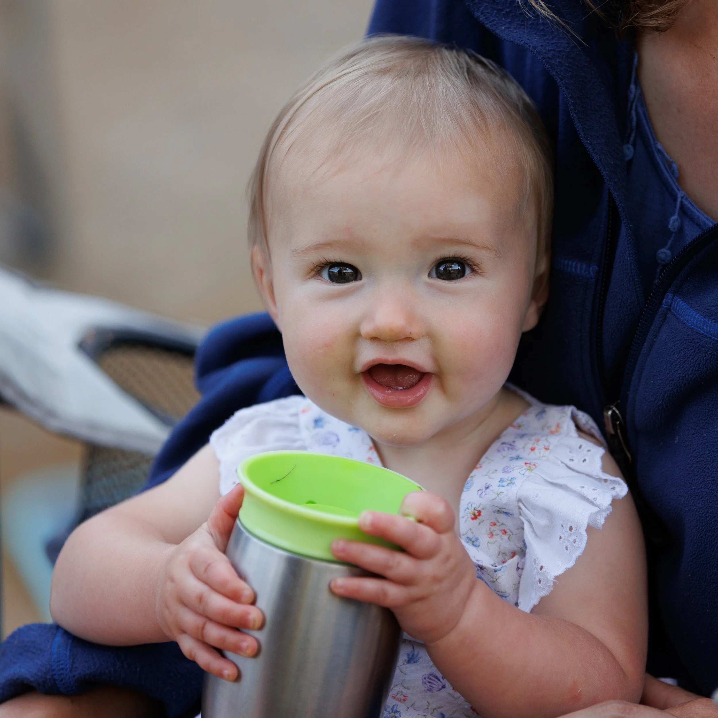 Mayfield Lake August 2025 - 029.jpg