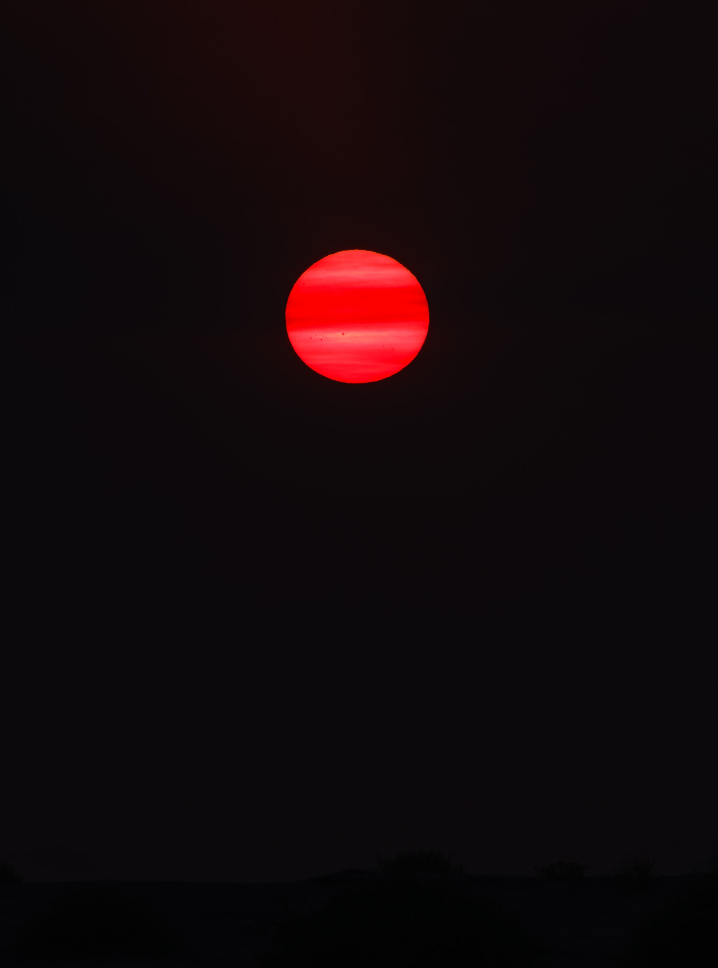 Ocean 2024 - 024.jpg