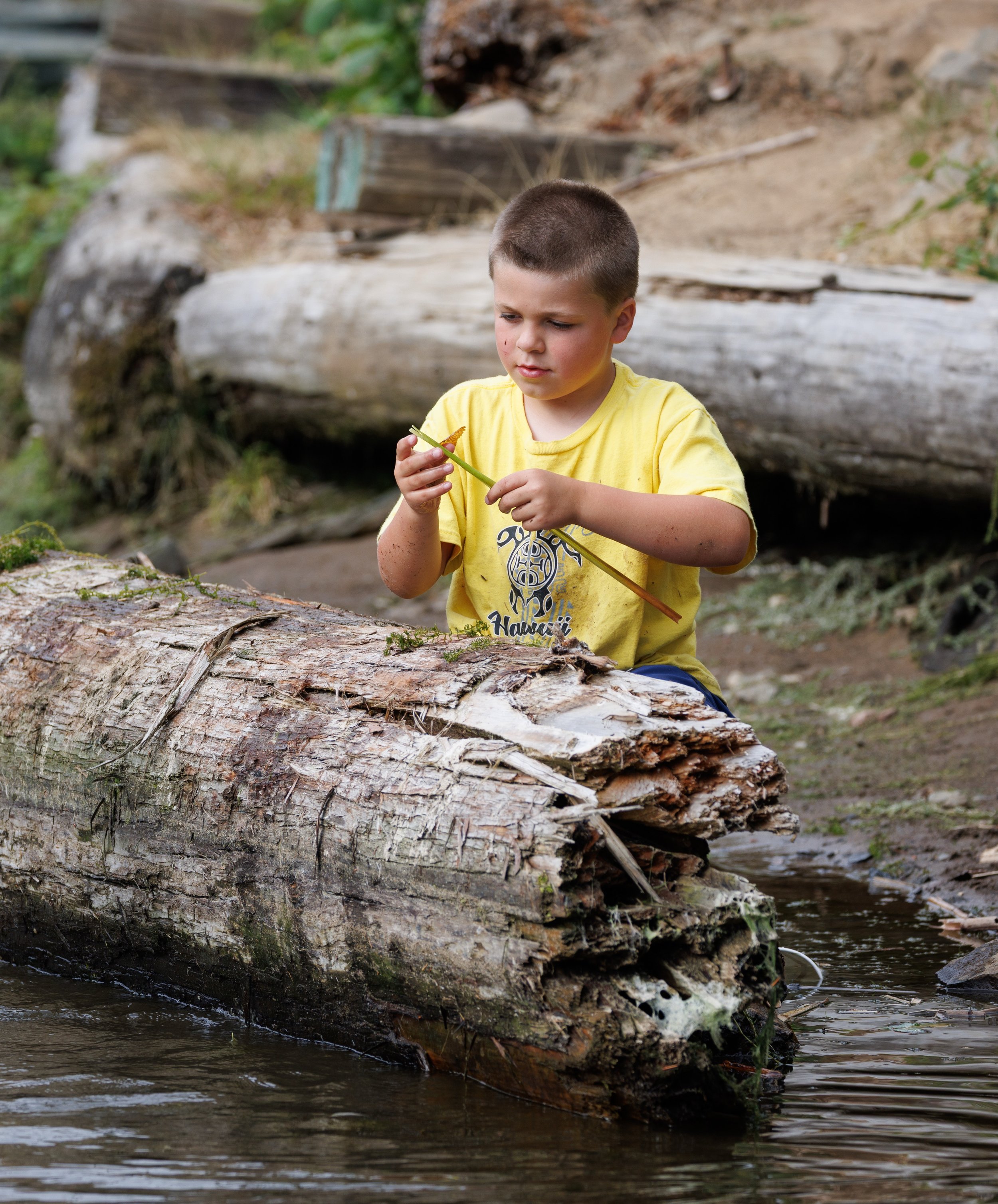 Mayfield Lake Jul 26, 2025 - 088.jpg