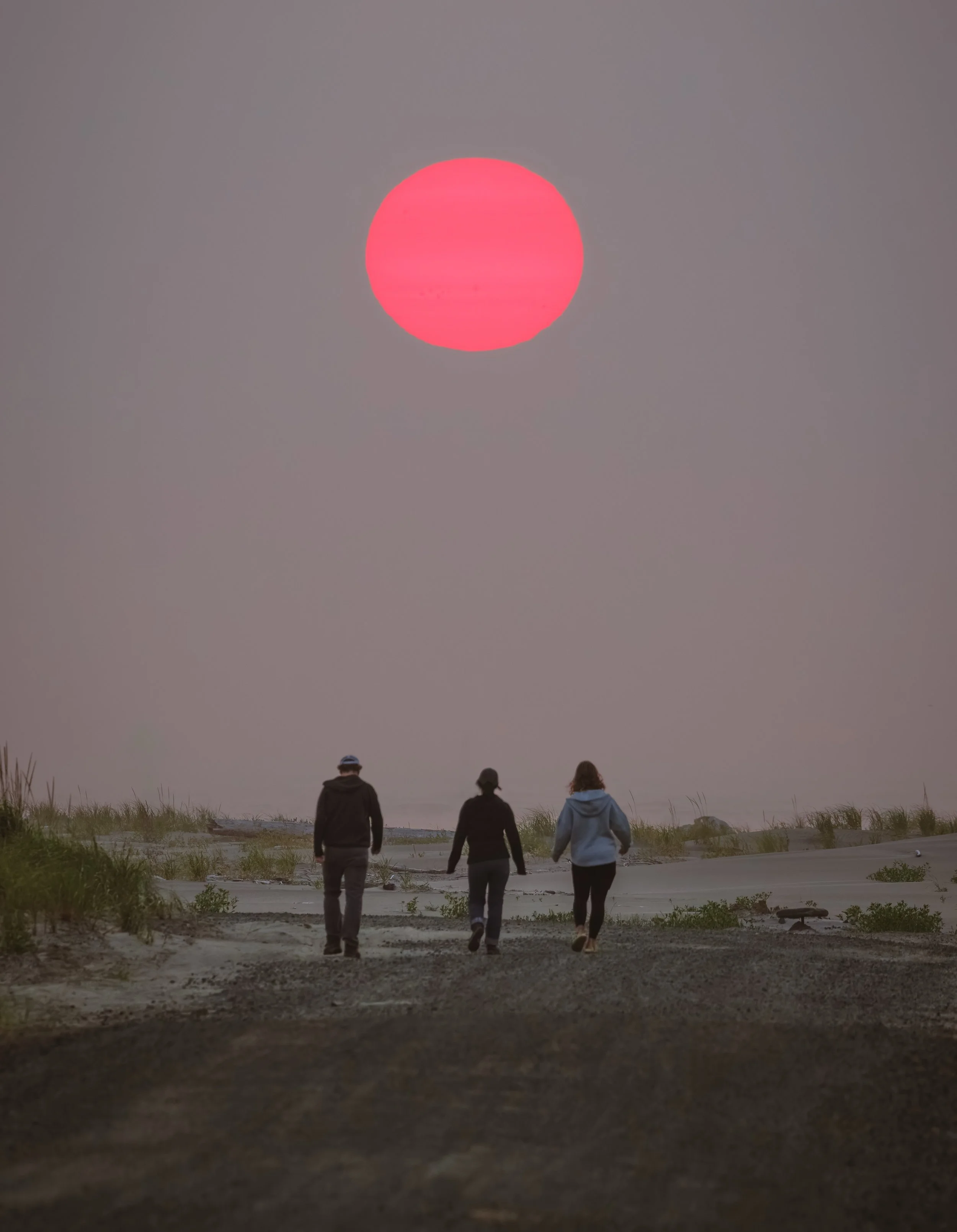 Ocean 2024 - 029.jpg