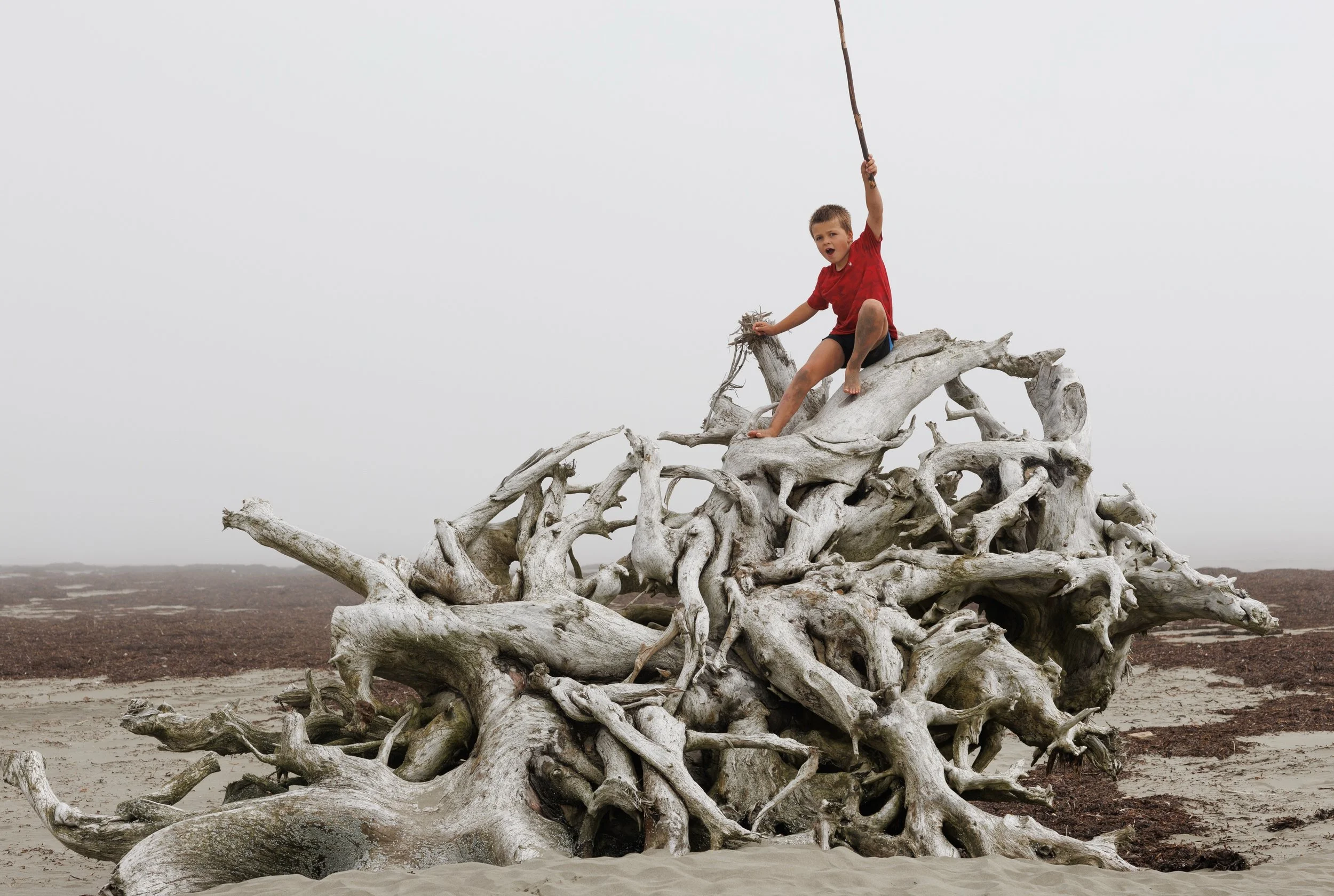 Ocean 2024 - 005.jpg