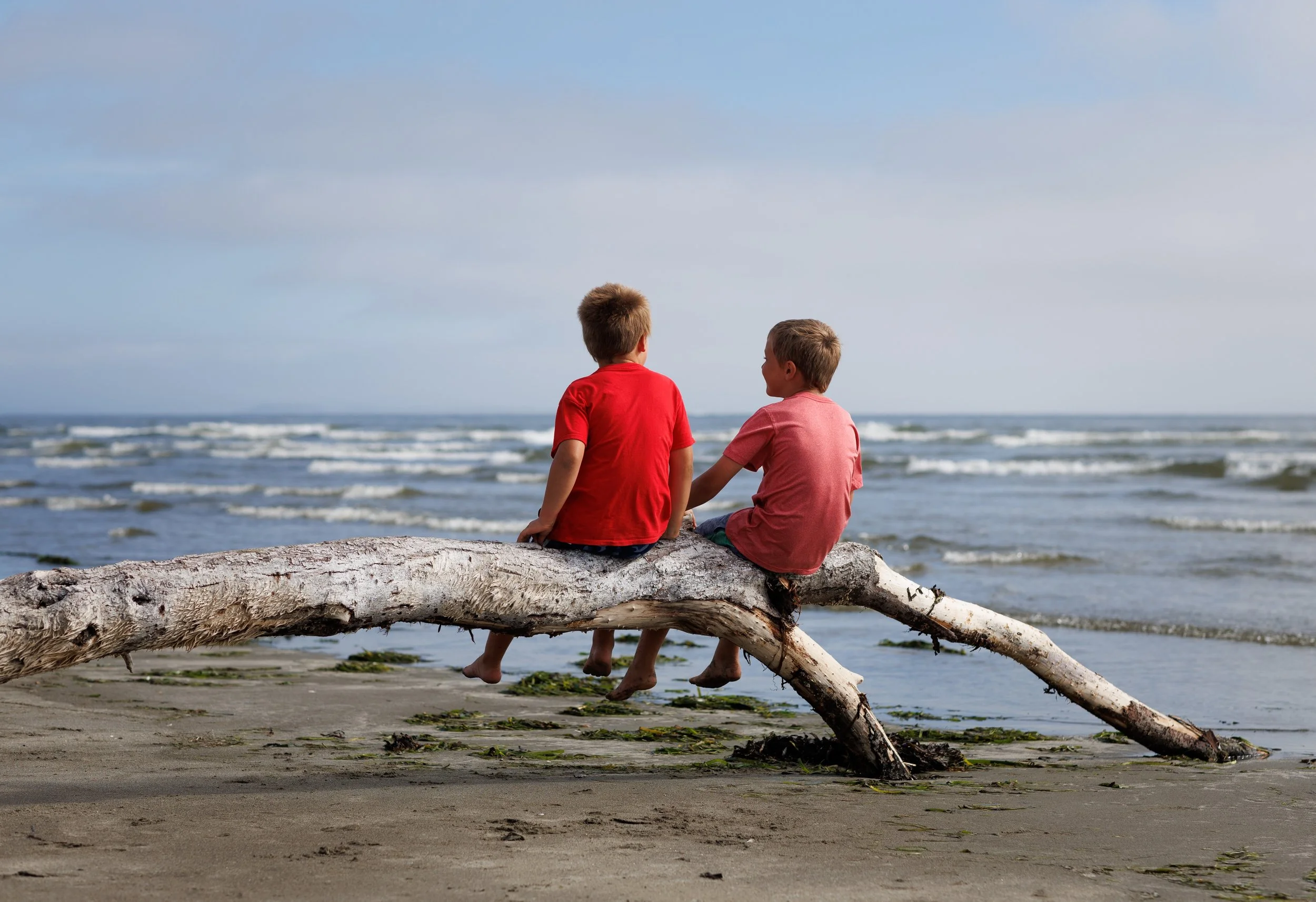 Ocean 2024 - 052.jpg